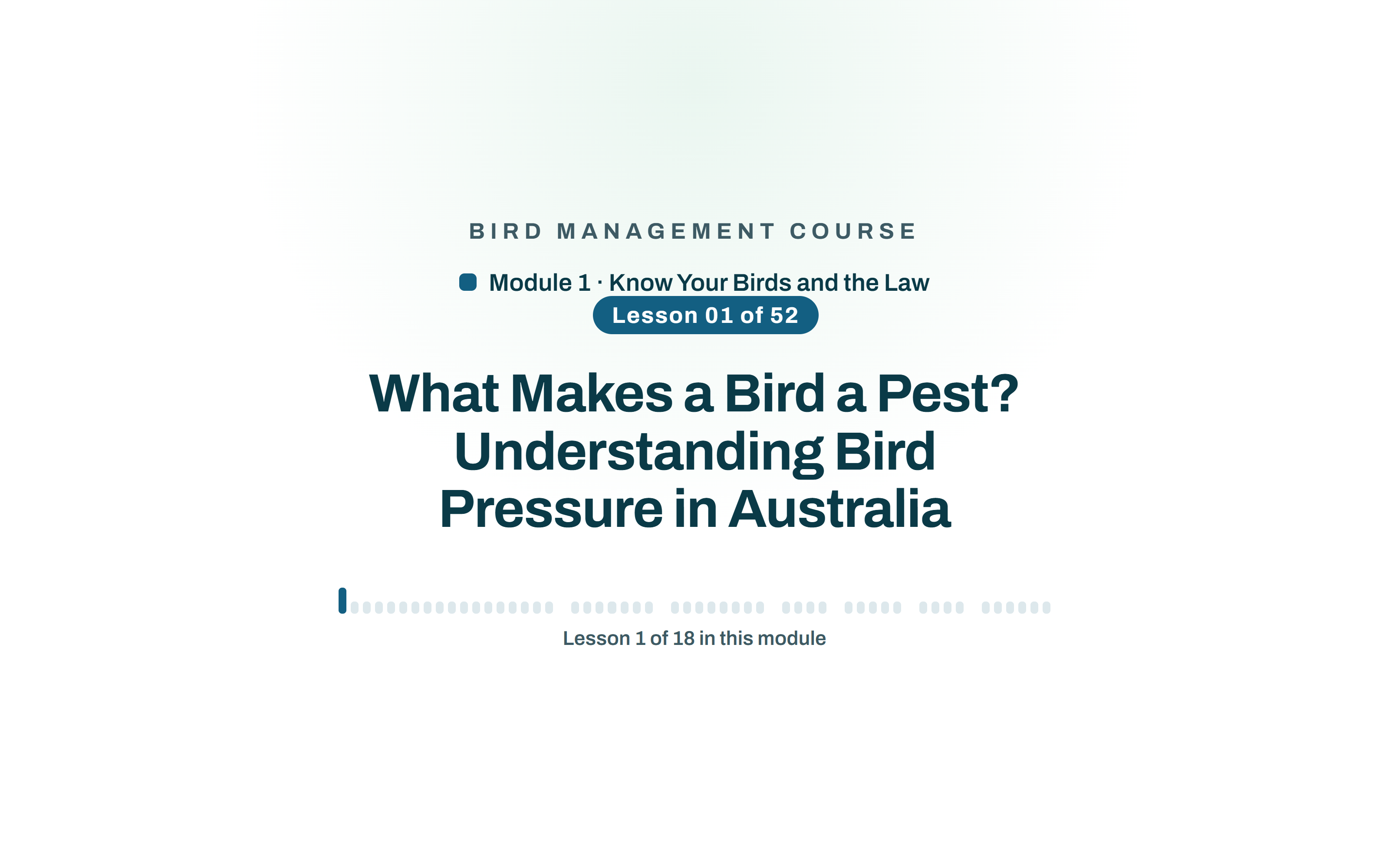 Bird Management Course, module 1: lesson 01, What Makes a Bird a Pest? Understanding Bird Pressure in Australia