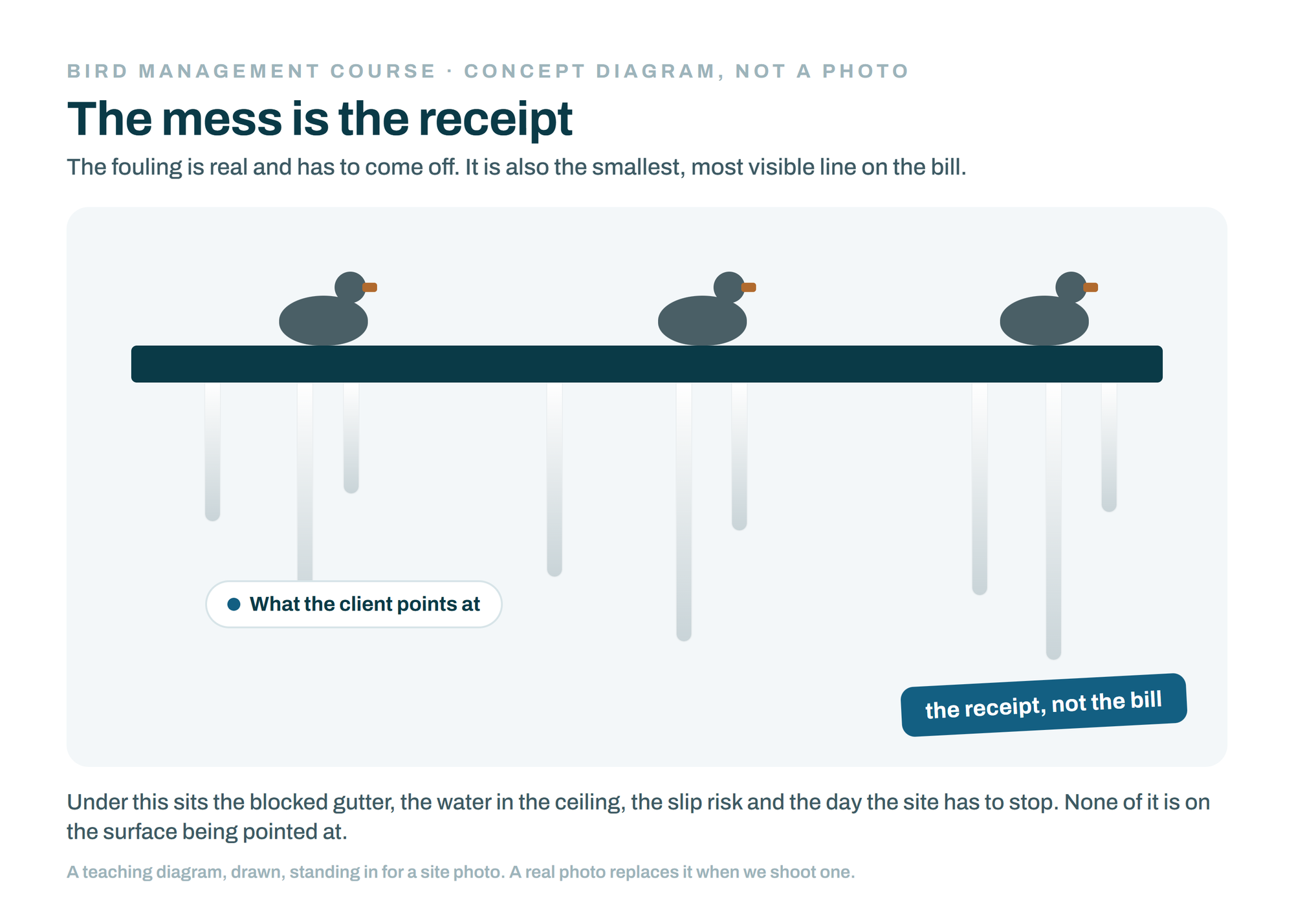 Concept diagram (not a photo): a fouled ledge with birds and dropping streaks, the visible mess a client points at. Bird Management Course, session 03.