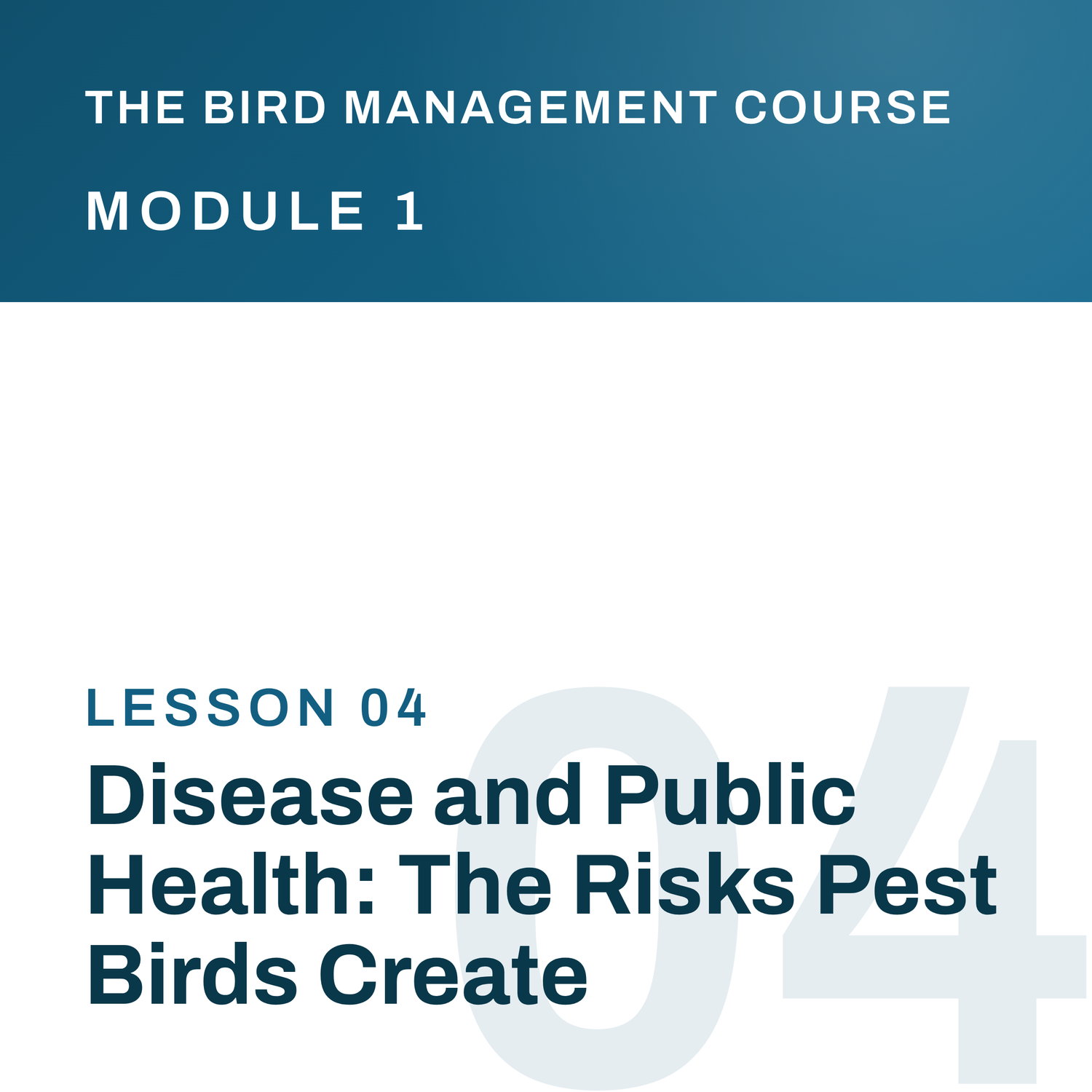 Disease and Public Health: The Risks Pest Birds Create, The Bird Management Course