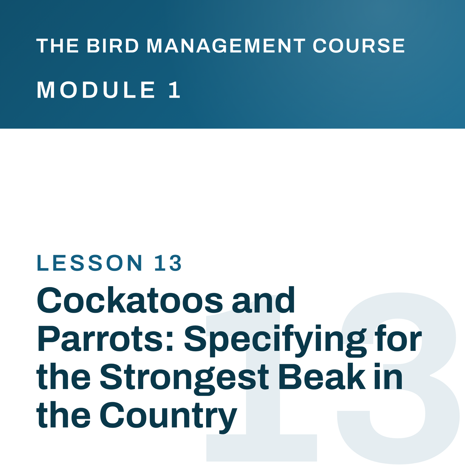 Cockatoos and Parrots: Specifying for the Strongest Beak in the Country, The Bird Management Course