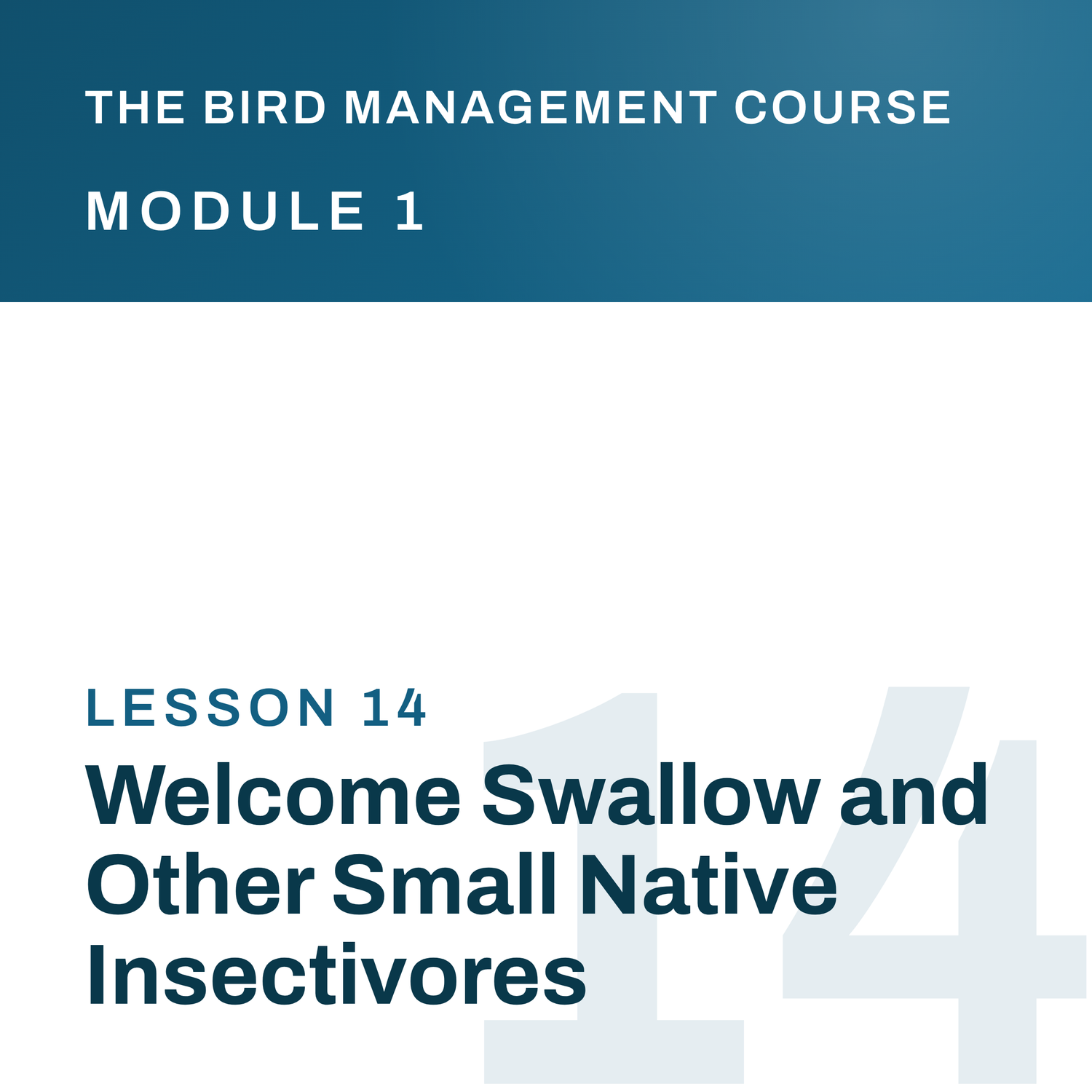 Welcome Swallow and Other Small Native Insectivores, The Bird Management Course