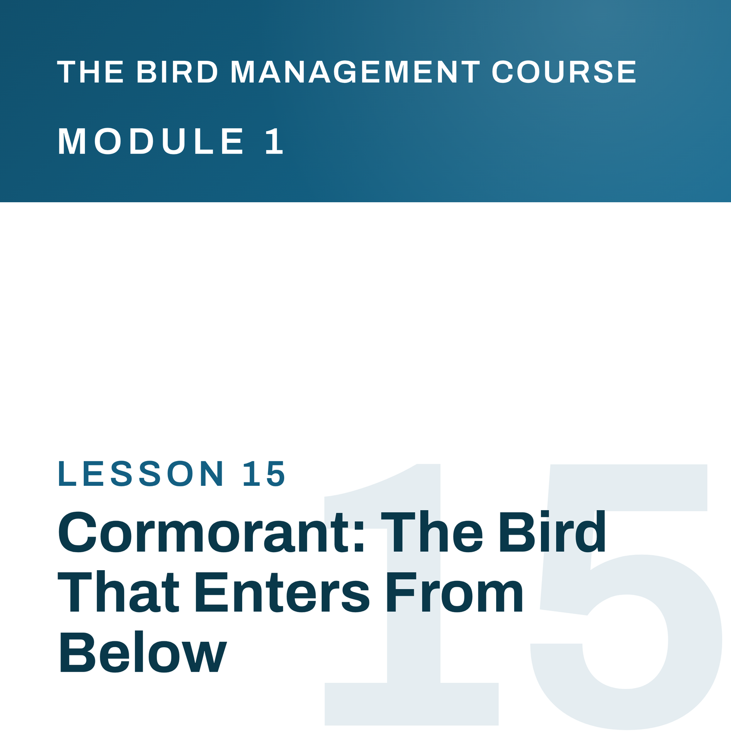 Cormorant: The Bird That Enters From Below, The Bird Management Course