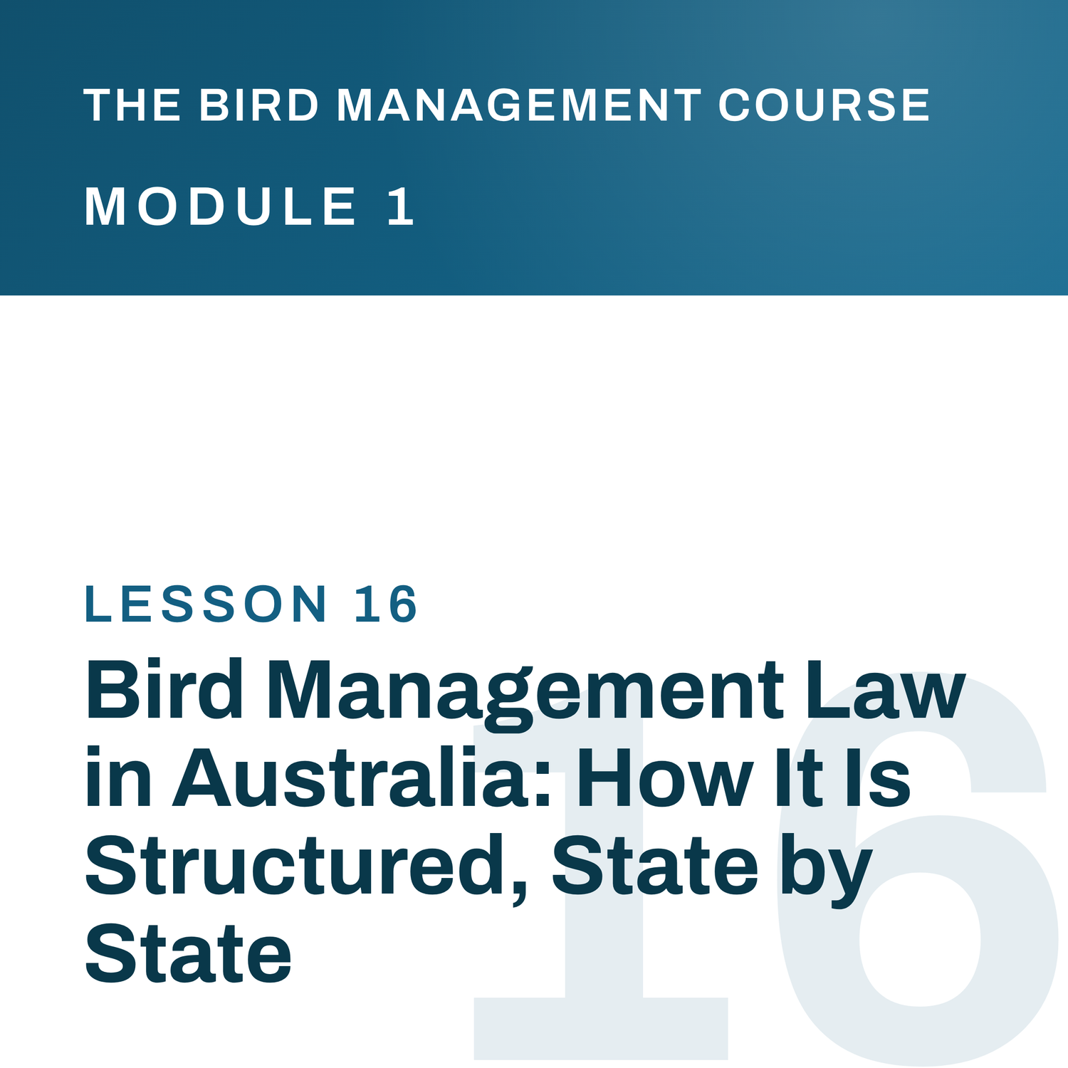 Bird Management Law in Australia: How It Is Structured, State by State, The Bird Management Course