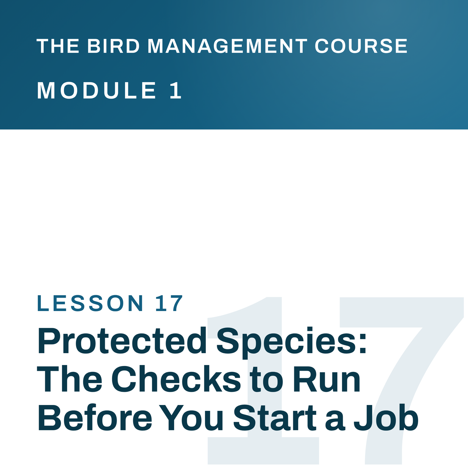 Protected Species: The Checks to Run Before You Start a Job, The Bird Management Course