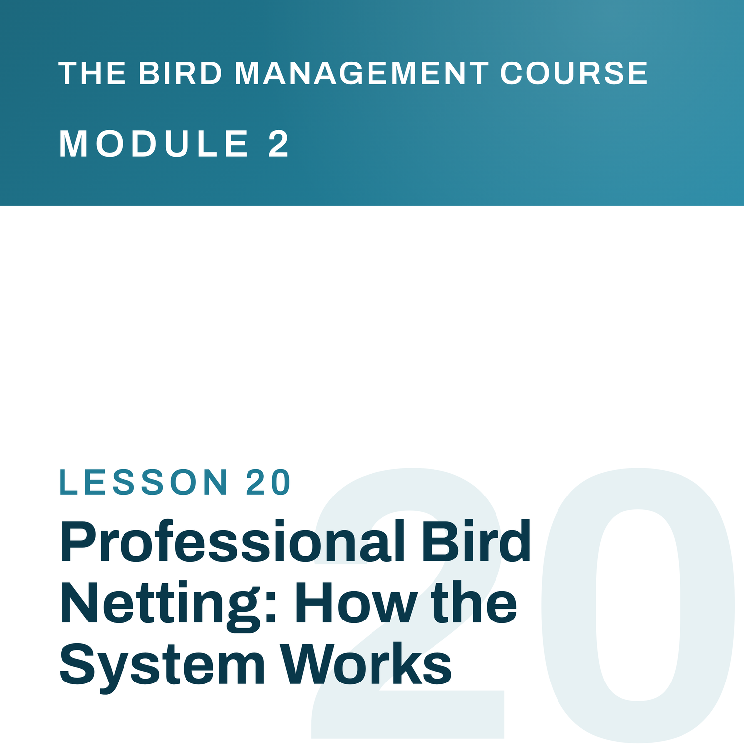 Professional Bird Netting: How the System Works, The Bird Management Course