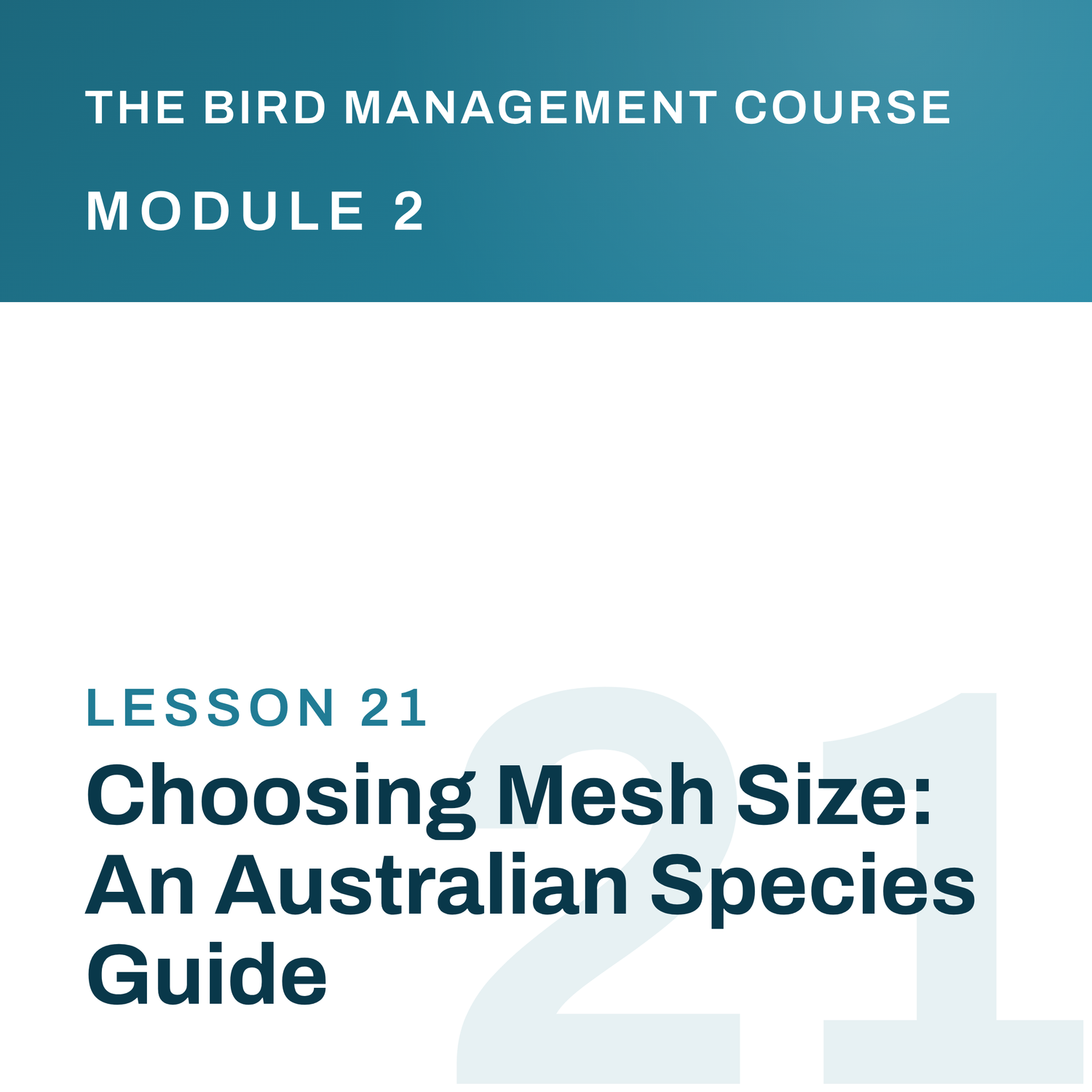 Choosing Mesh Size: An Australian Species Guide, The Bird Management Course