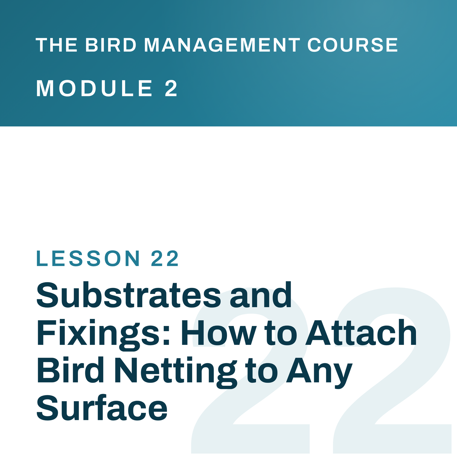 Substrates and Fixings: How to Attach Bird Netting to Any Surface, The Bird Management Course