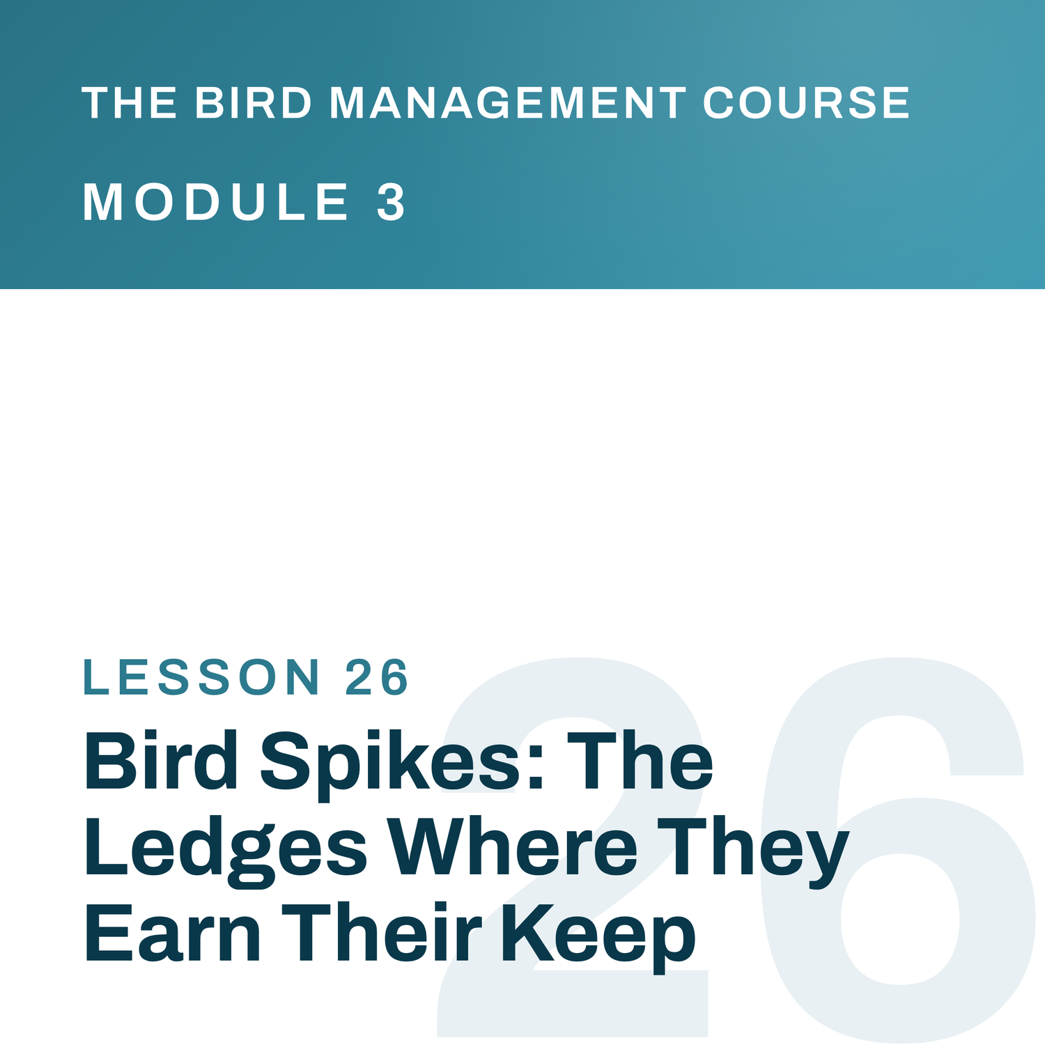 Bird Spikes: The Ledges Where They Earn Their Keep, The Bird Management Course