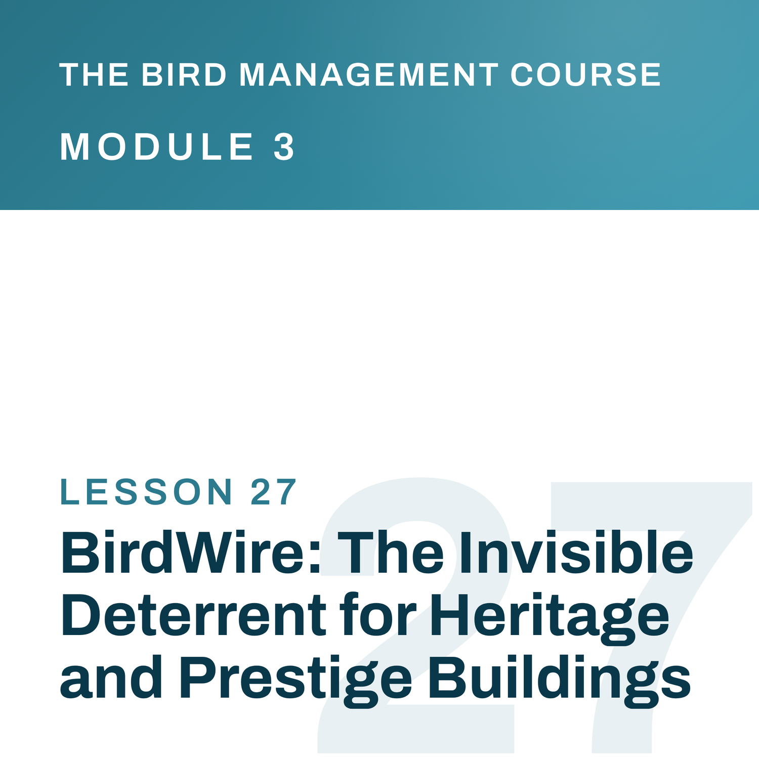 BirdWire: The Invisible Deterrent for Heritage and Prestige Buildings, The Bird Management Course