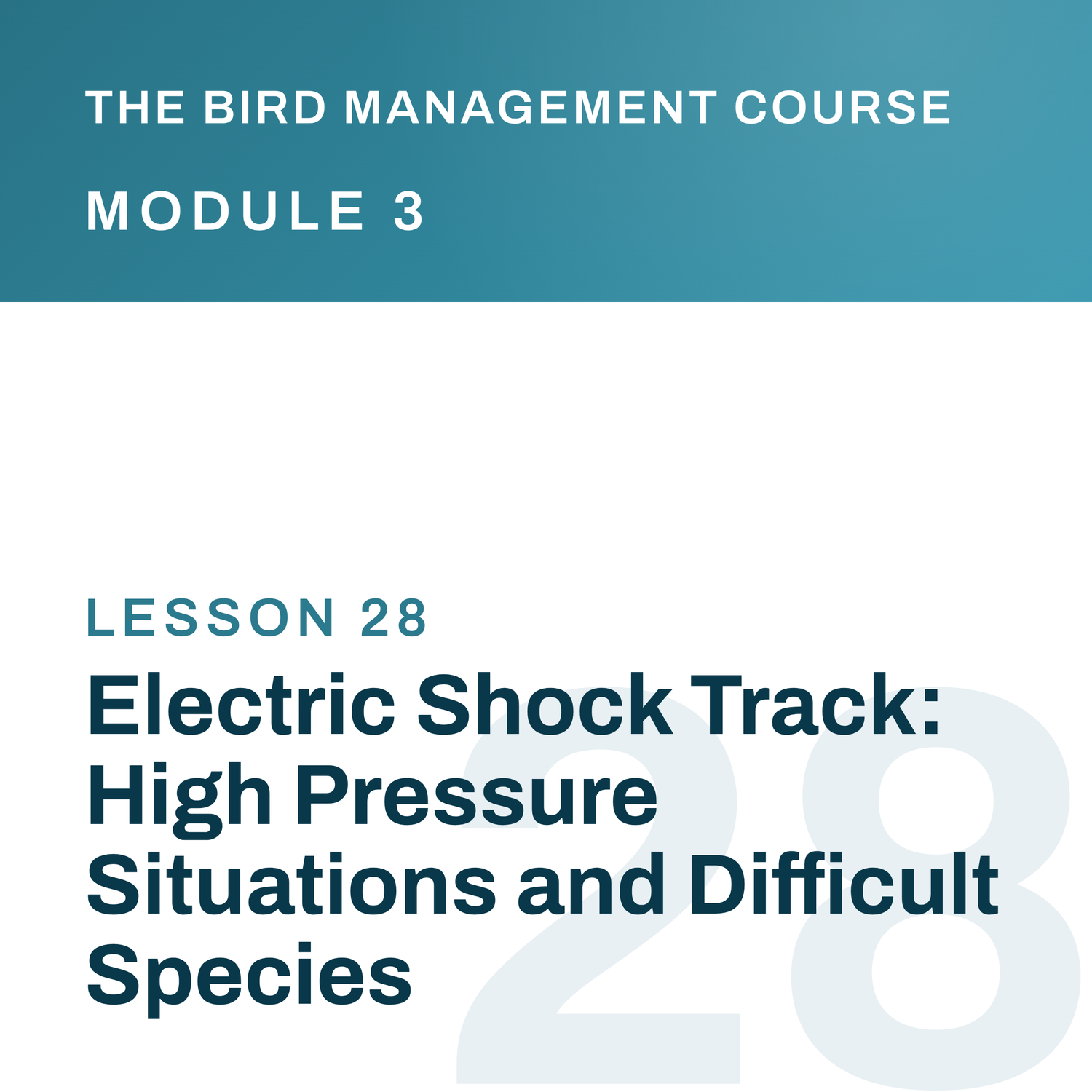 Electric Shock Track: High Pressure Situations and Difficult Species, The Bird Management Course