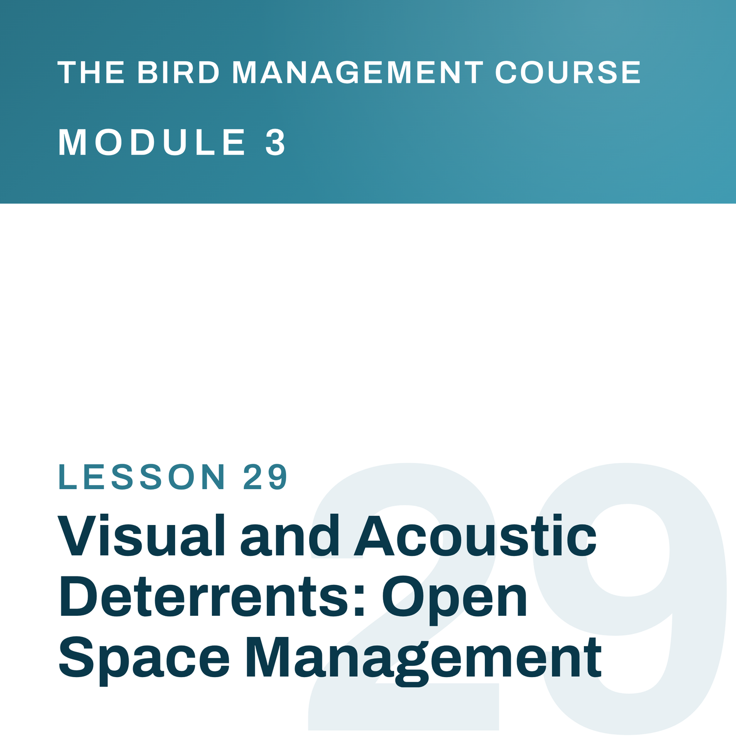 Visual and Acoustic Deterrents: Open Space Management, The Bird Management Course