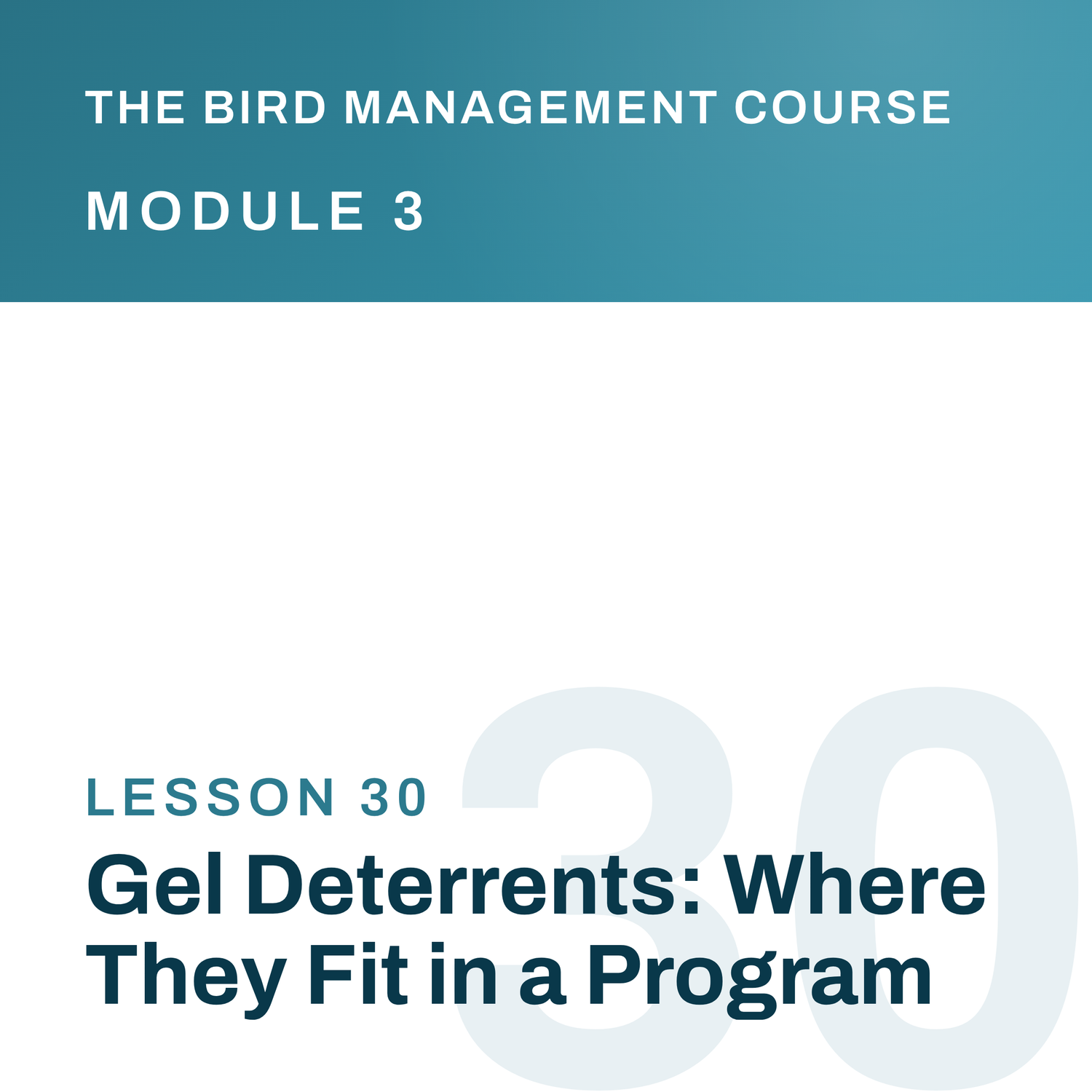 Gel Deterrents: Where They Fit in a Program, The Bird Management Course