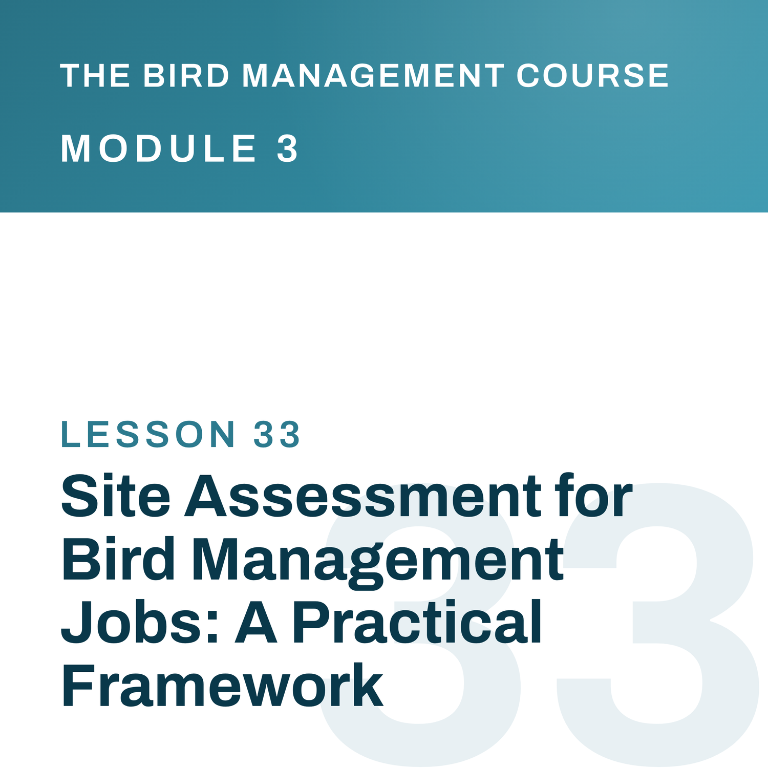Site Assessment for Bird Management Jobs: A Practical Framework, The Bird Management Course