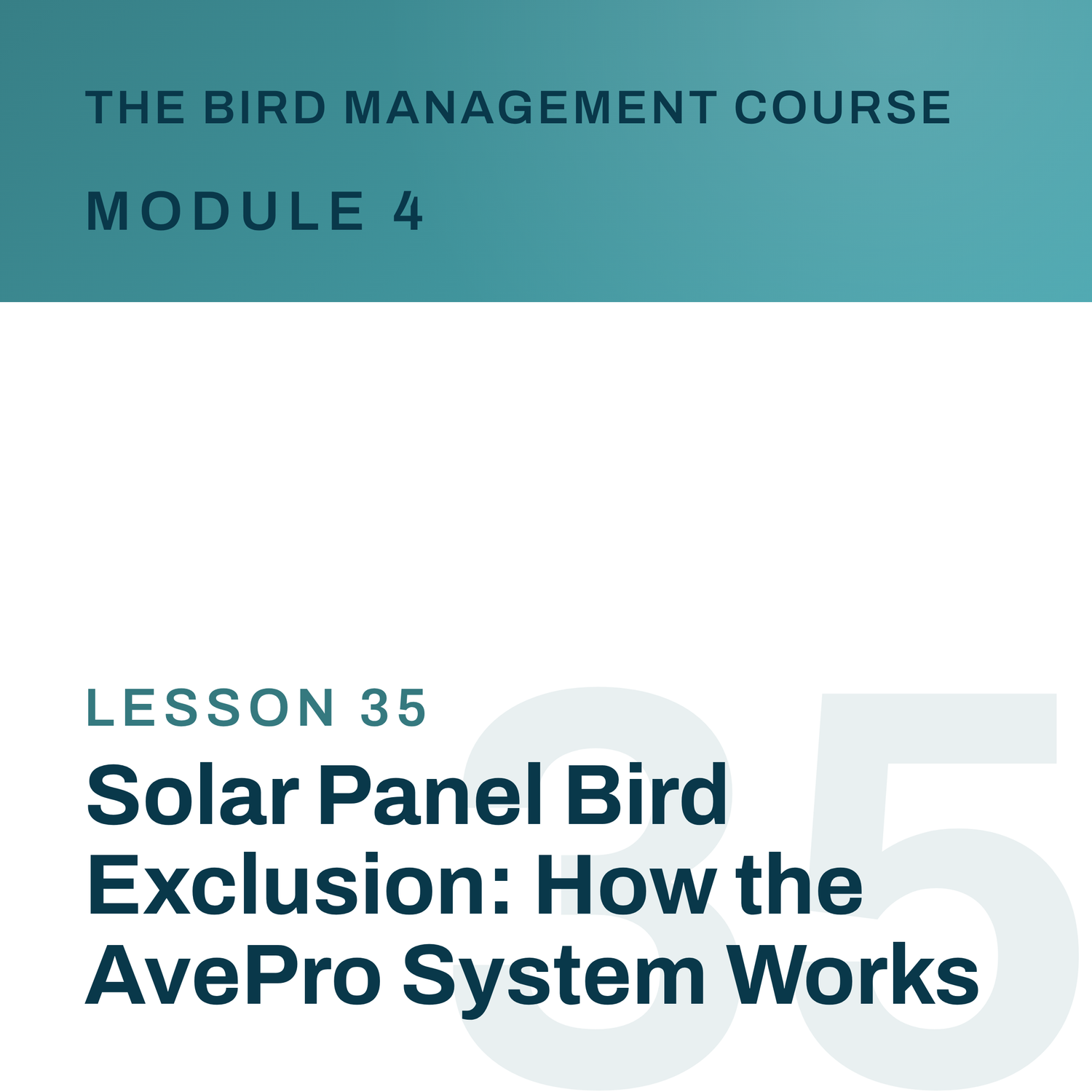 Solar Panel Bird Exclusion: How the AvePro System Works, The Bird Management Course
