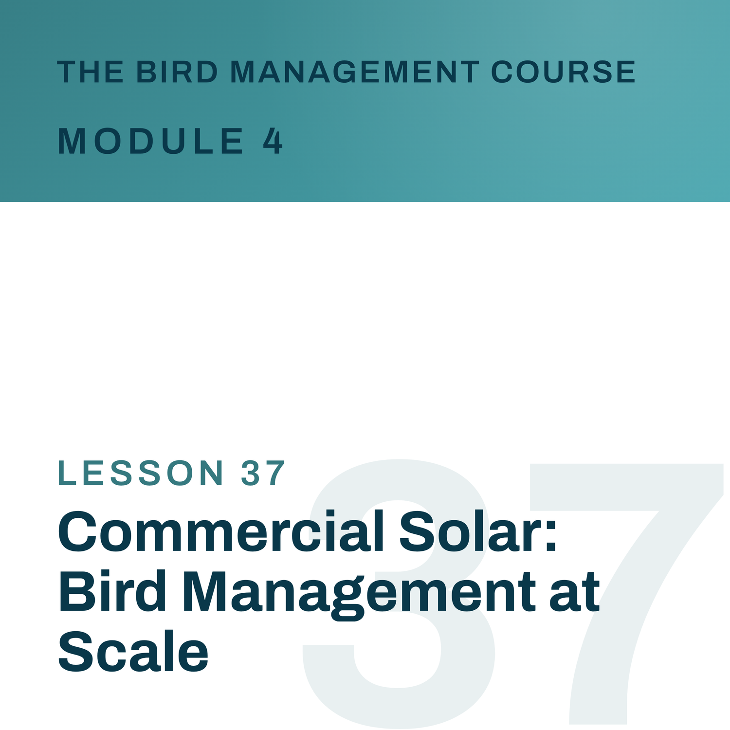 Commercial Solar: Bird Management at Scale, The Bird Management Course