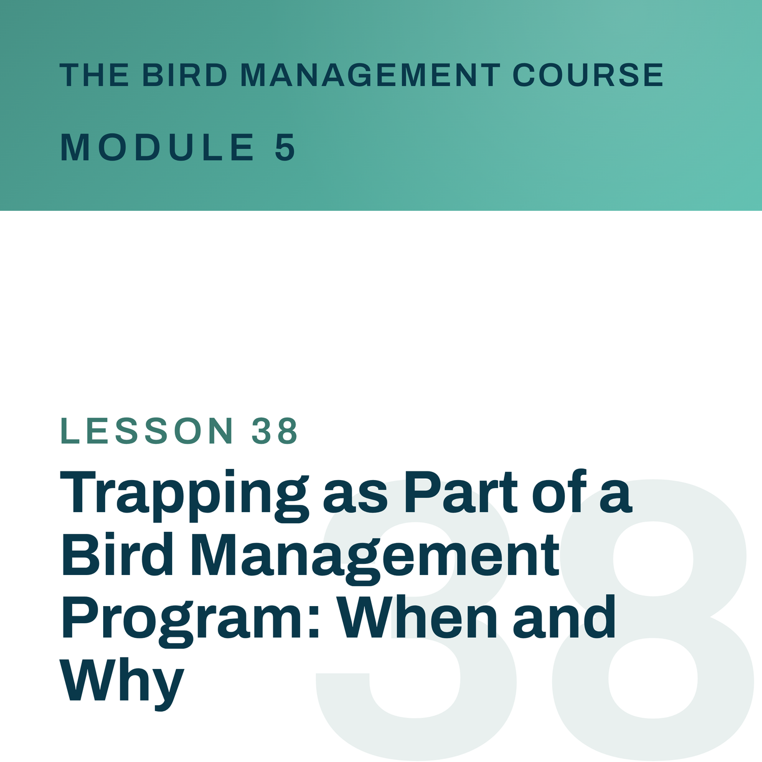Trapping as Part of a Bird Management Program: When and Why, The Bird Management Course