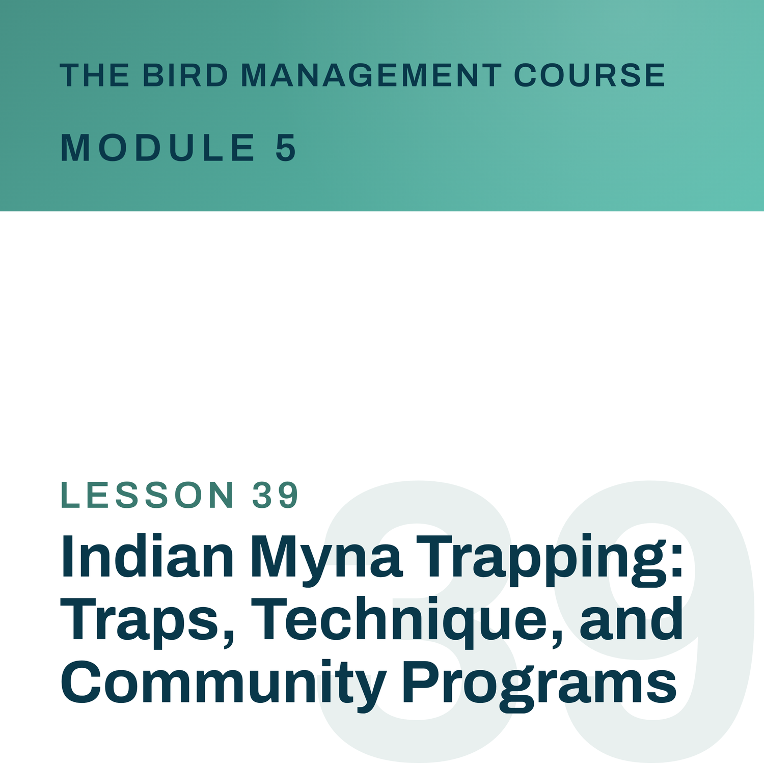 Indian Myna Trapping: Traps, Technique, and Community Programs, The Bird Management Course