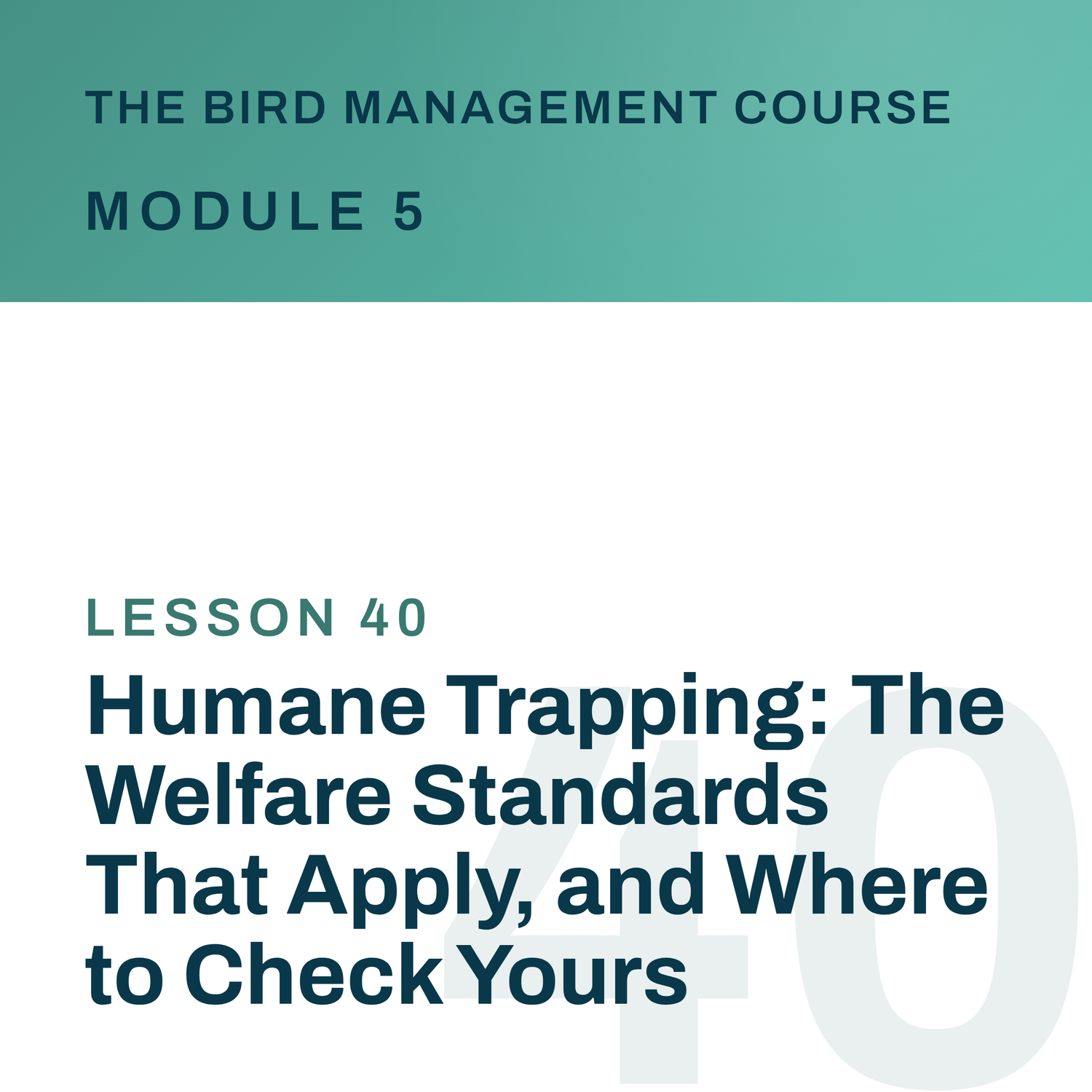 Humane Trapping: The Welfare Standards That Apply, and Where to Check Yours, The Bird Management Course