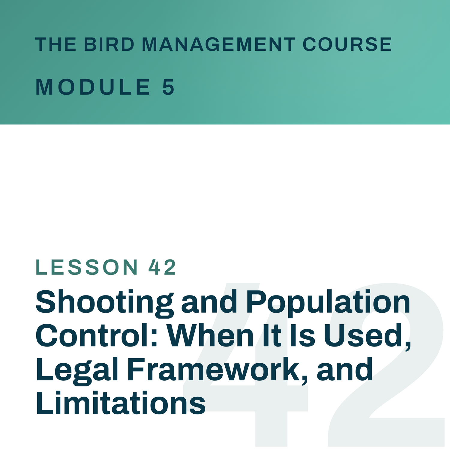 Shooting and Population Control: When It Is Used, Legal Framework, and Limitations, The Bird Management Course