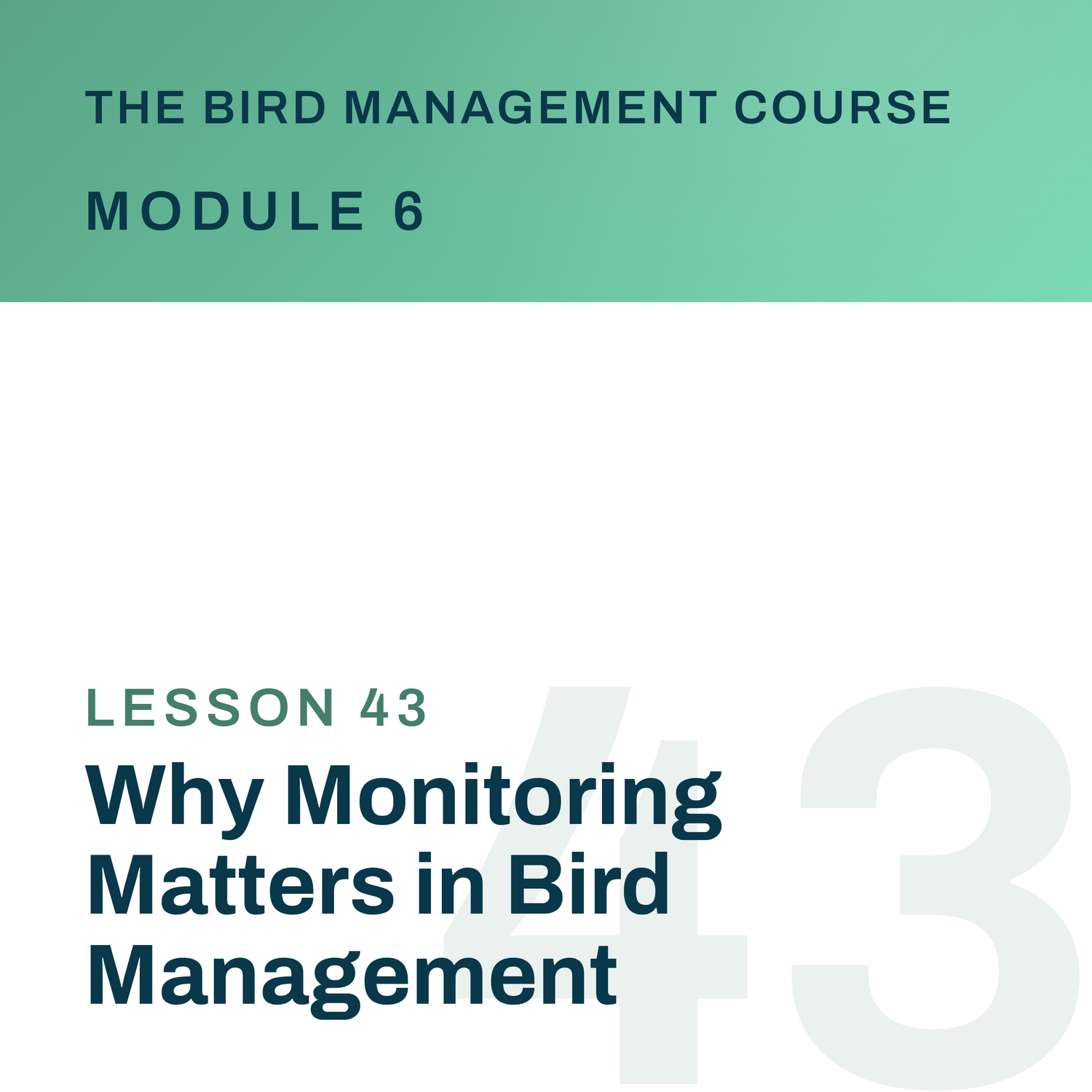 Why Monitoring Matters in Bird Management, The Bird Management Course