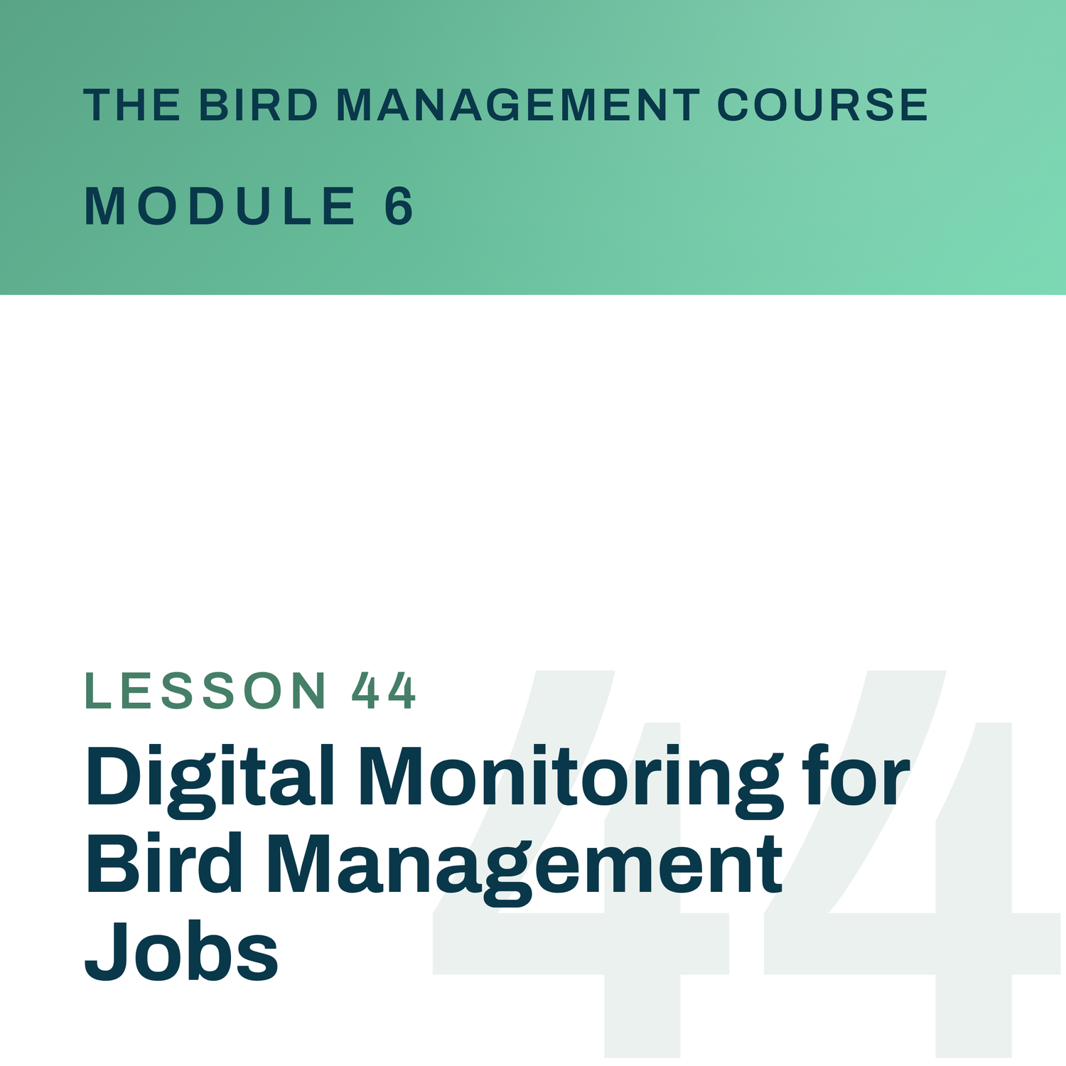 Digital Monitoring for Bird Management Jobs, The Bird Management Course
