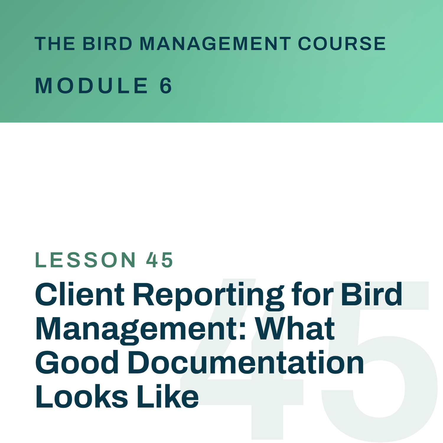 Client Reporting for Bird Management: What Good Documentation Looks Like, The Bird Management Course