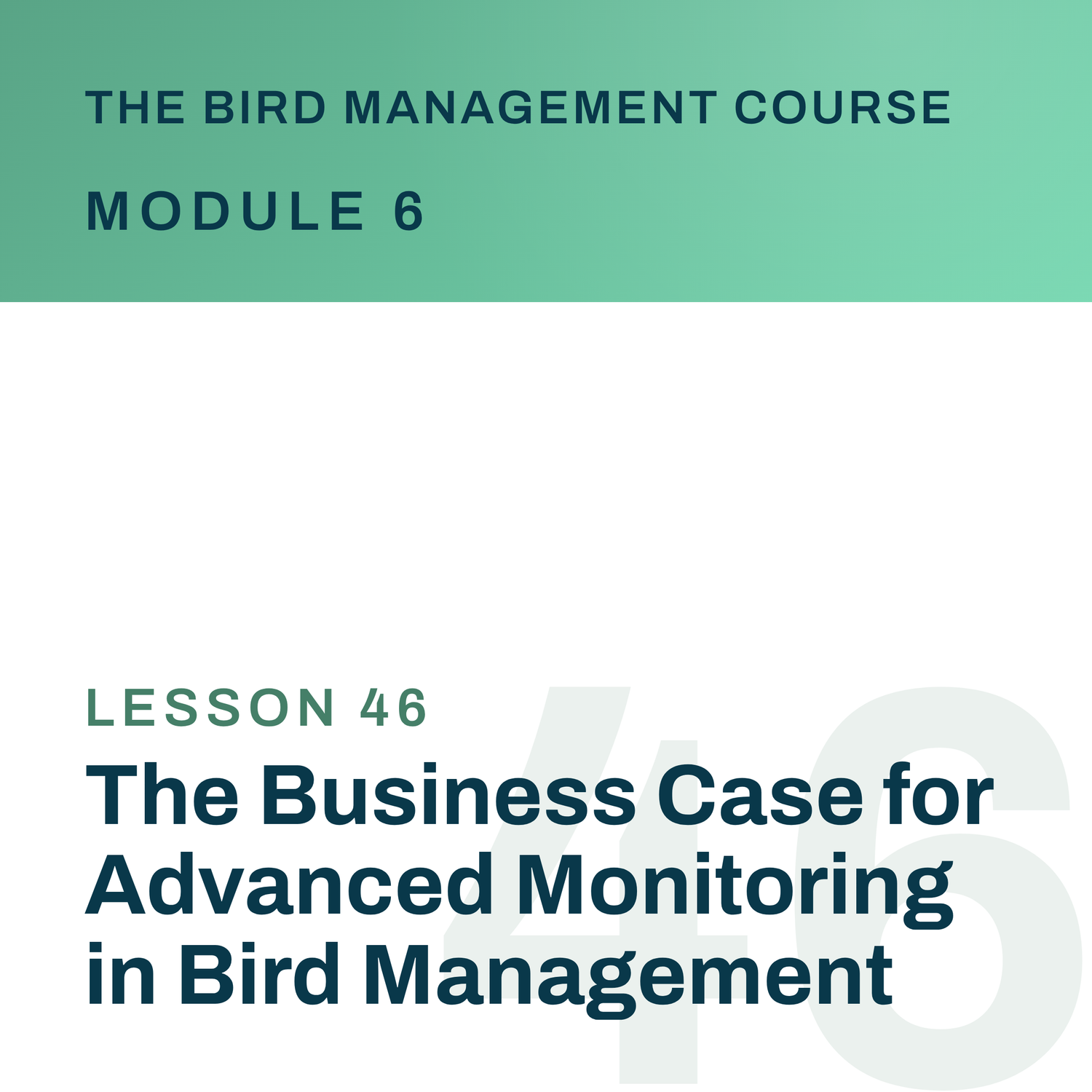 The Business Case for Advanced Monitoring in Bird Management, The Bird Management Course