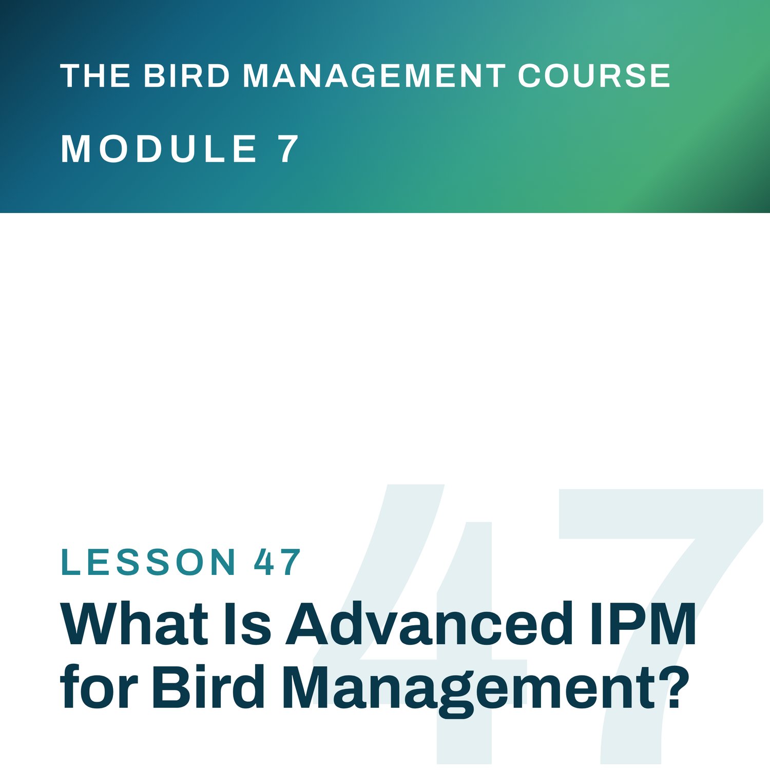 What Is Advanced IPM for Bird Management?, The Bird Management Course