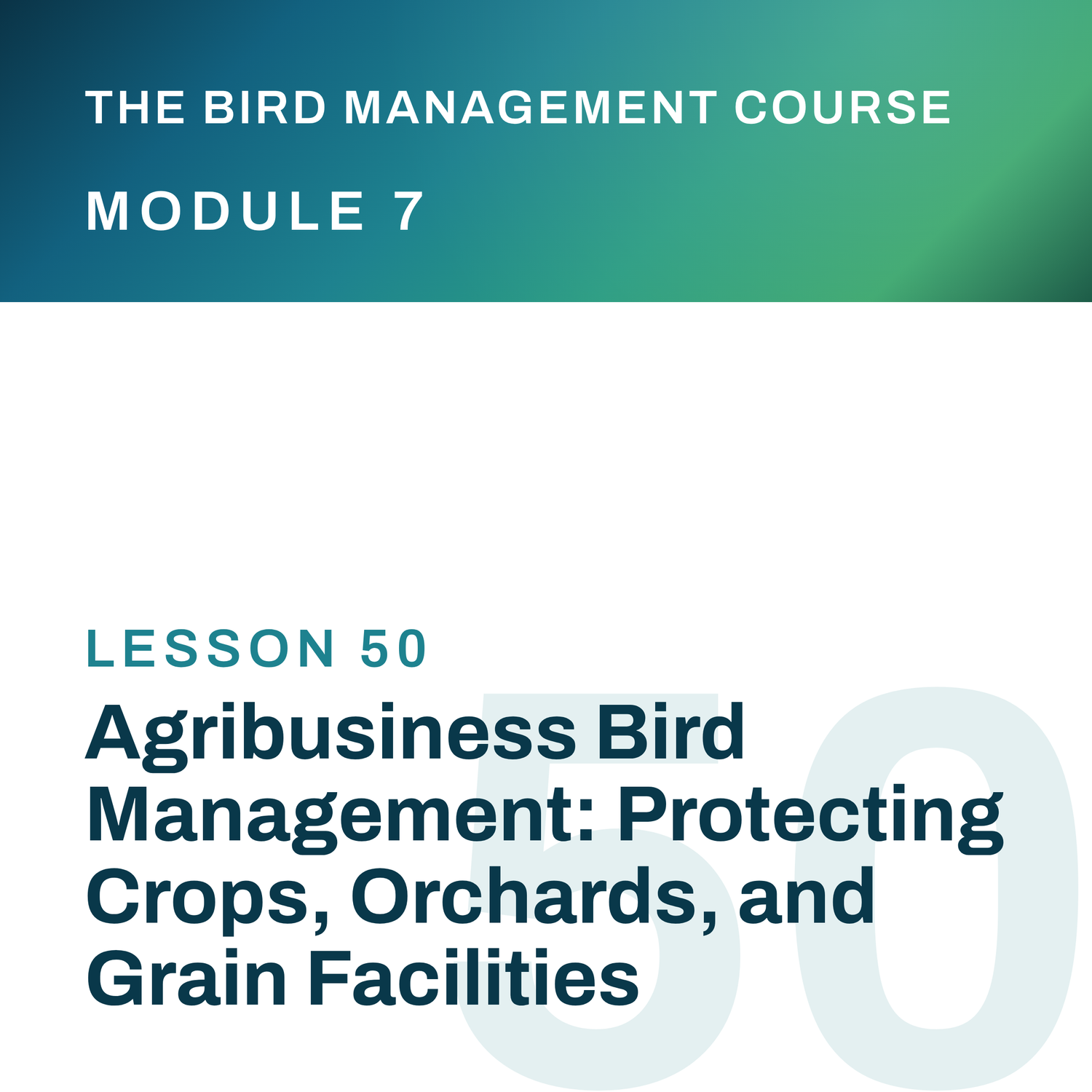 Agribusiness Bird Management: Protecting Crops, Orchards, and Grain Facilities, The Bird Management Course