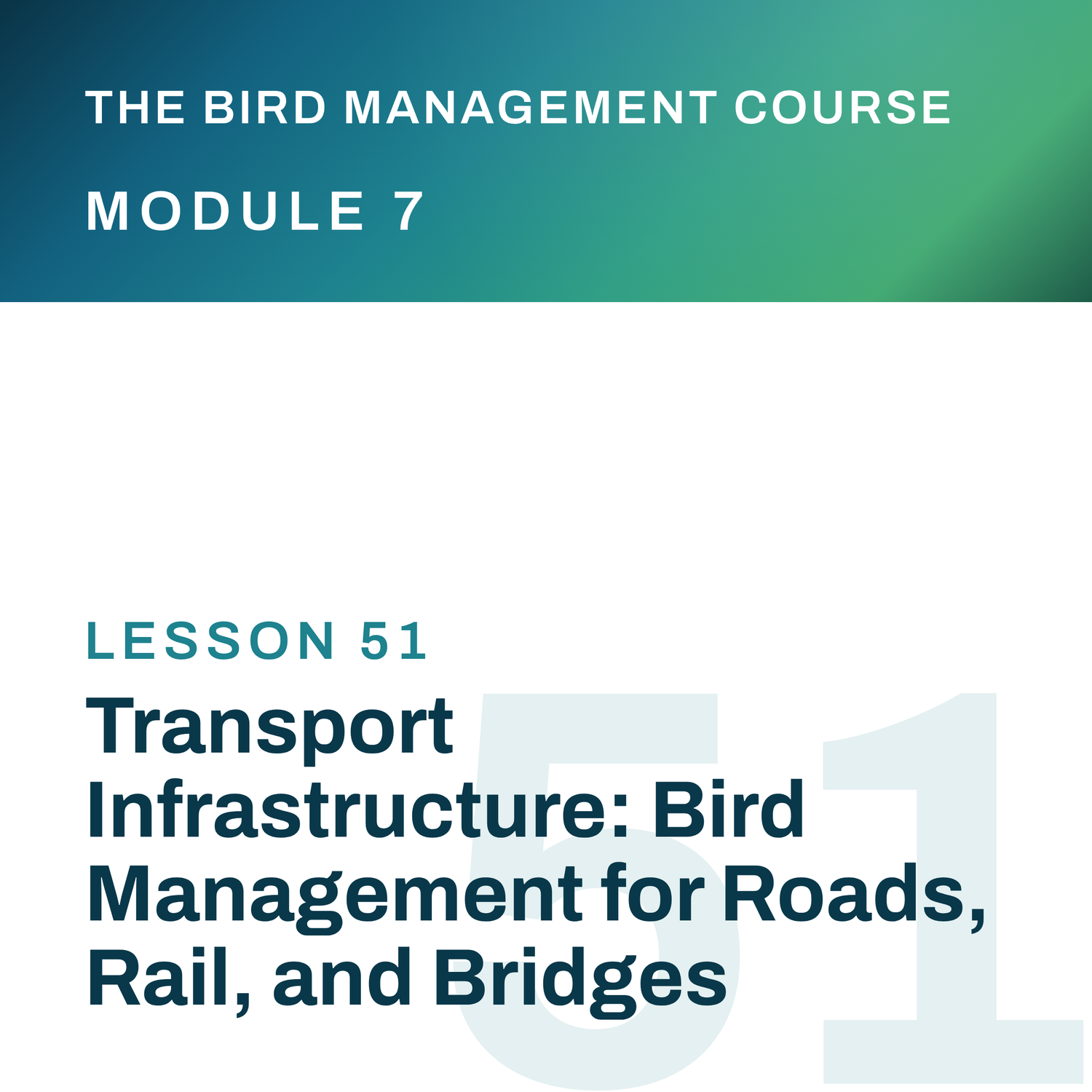 Transport Infrastructure: Bird Management for Roads, Rail, and Bridges, The Bird Management Course