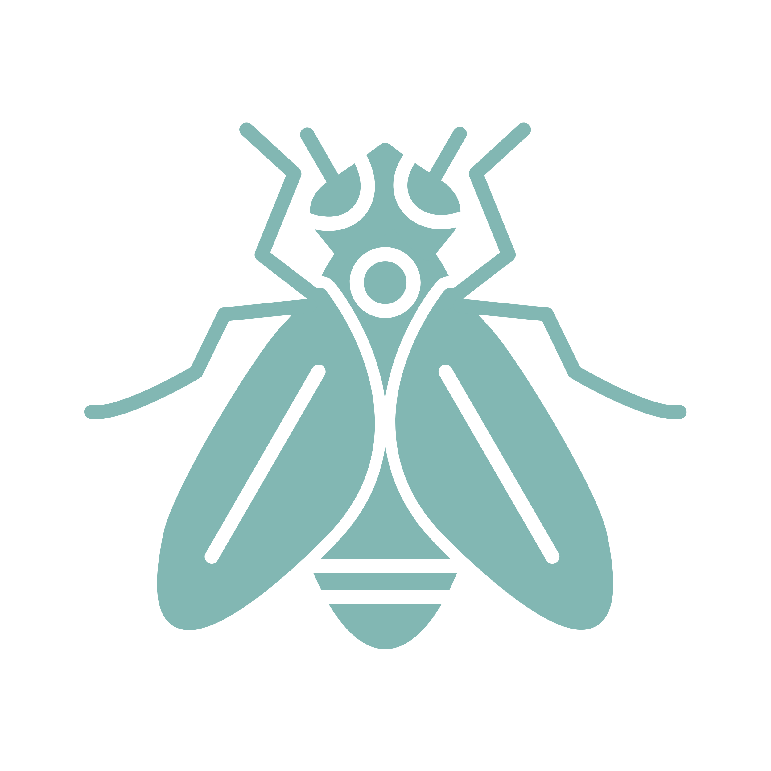 Fruit Flies