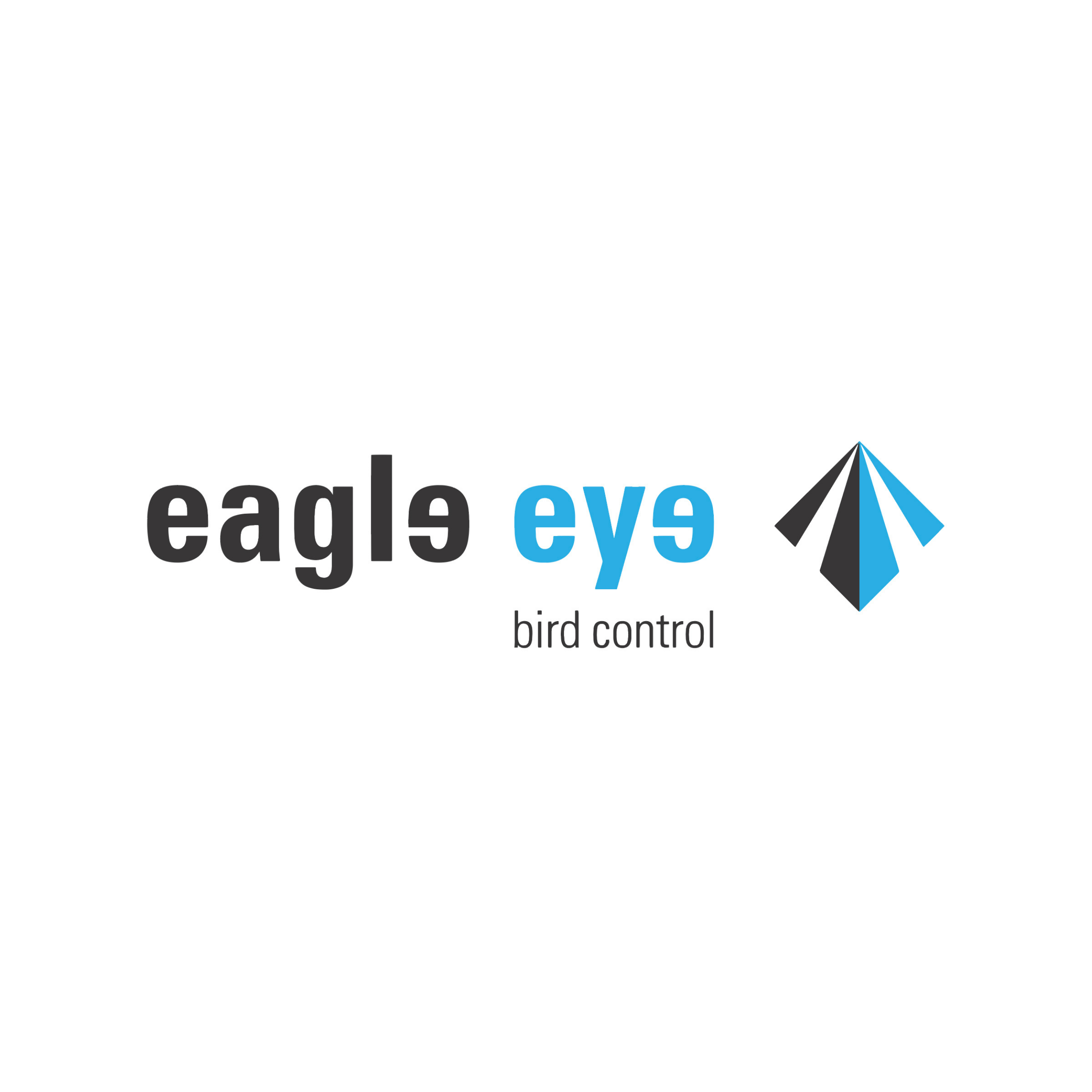 Eagle Eye