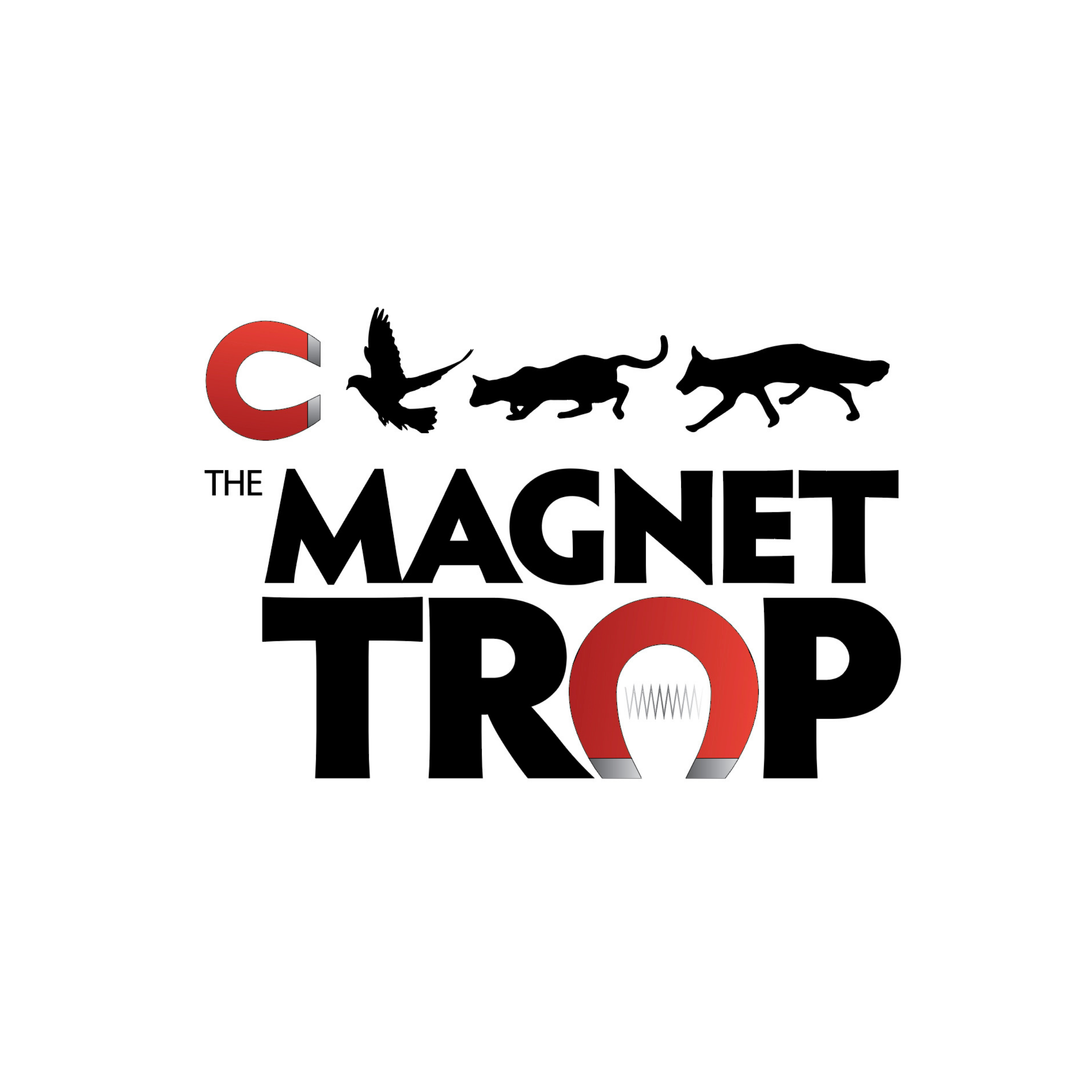 Magnet Trap