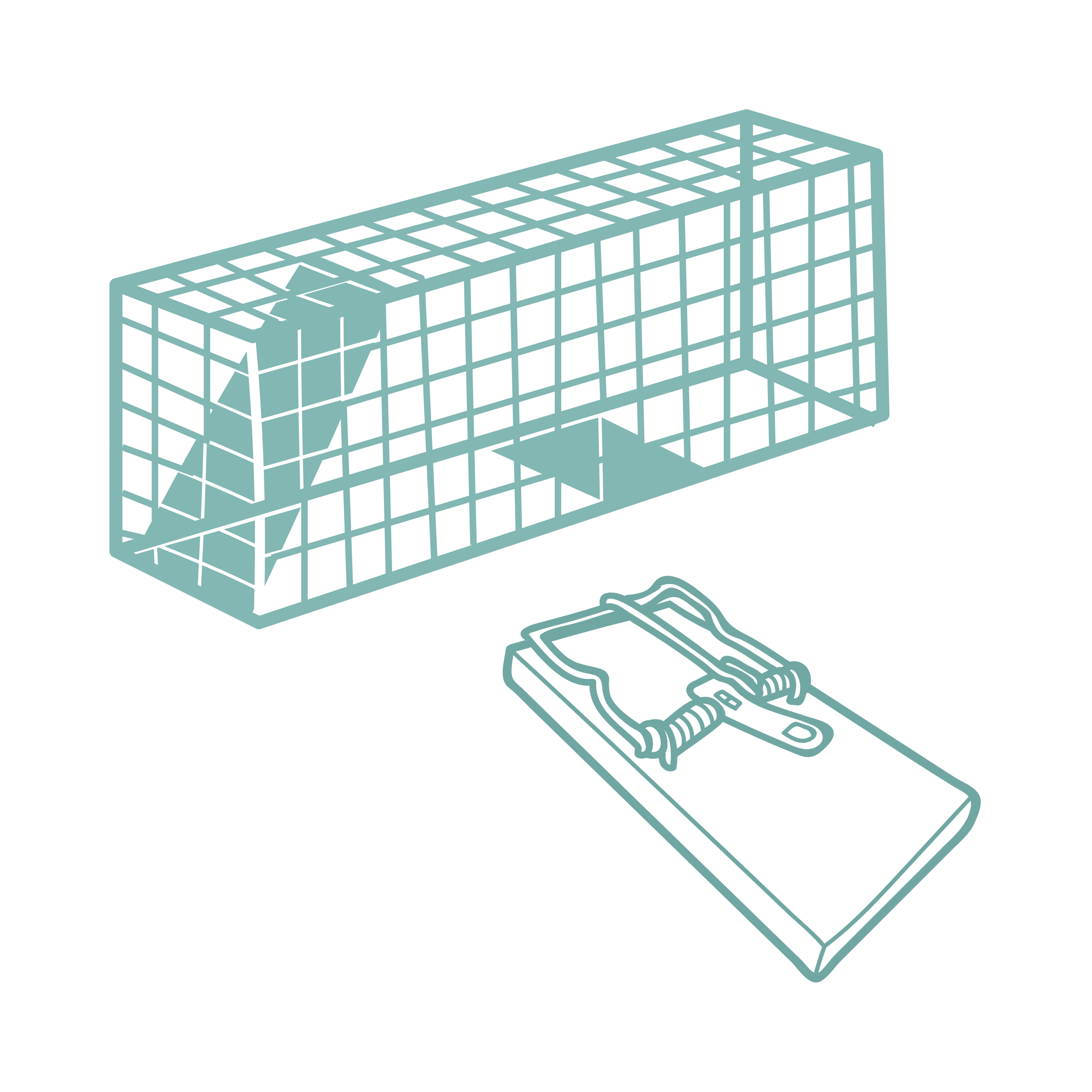 Trapping Products
