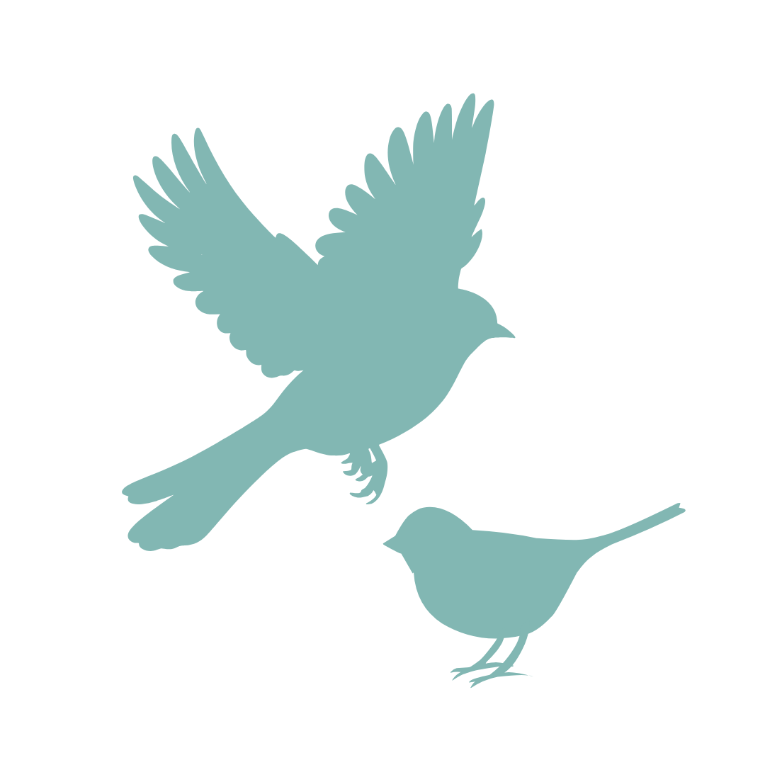 Bird Management Catalogue