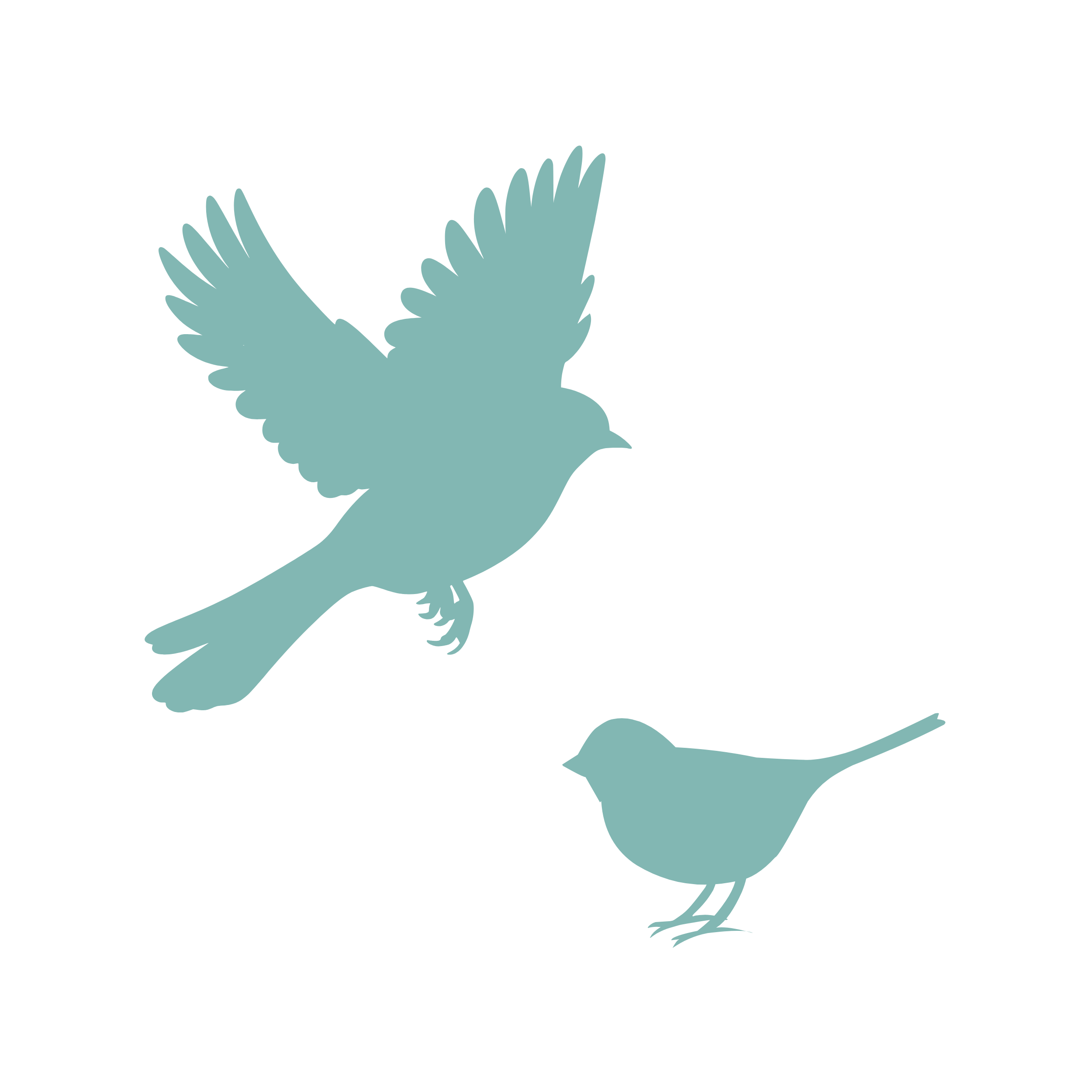Bird Management