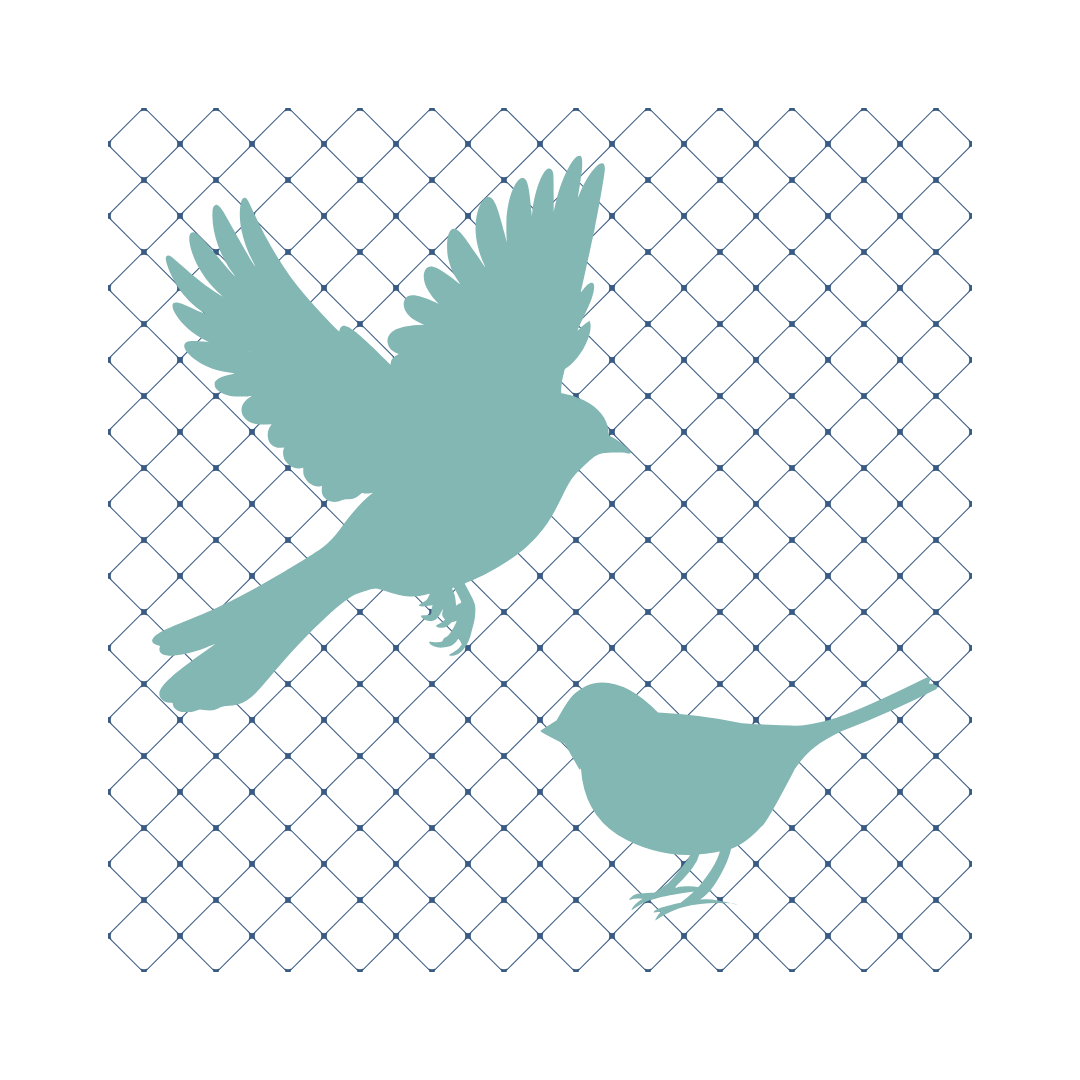 Bird Netting