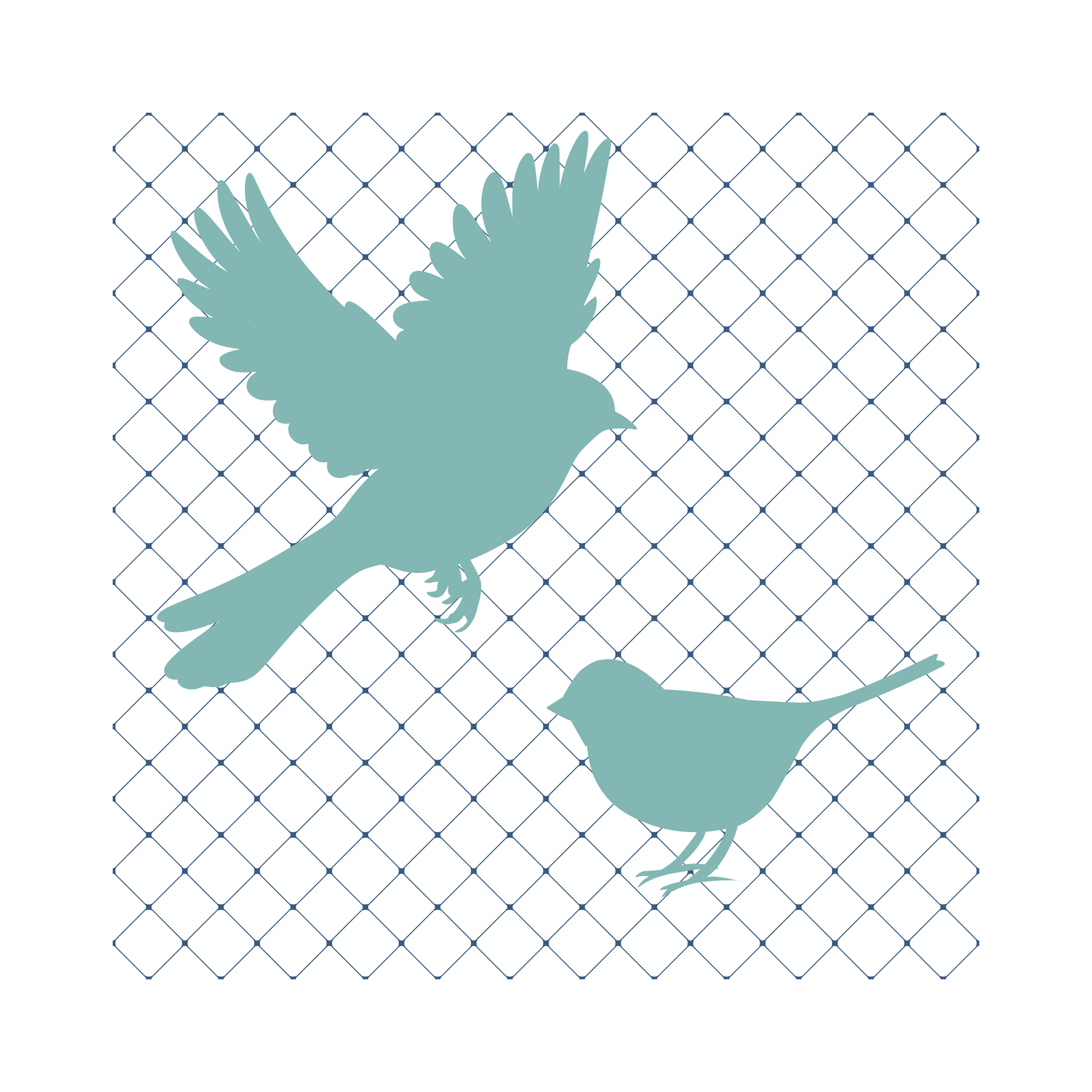 Bird Netting