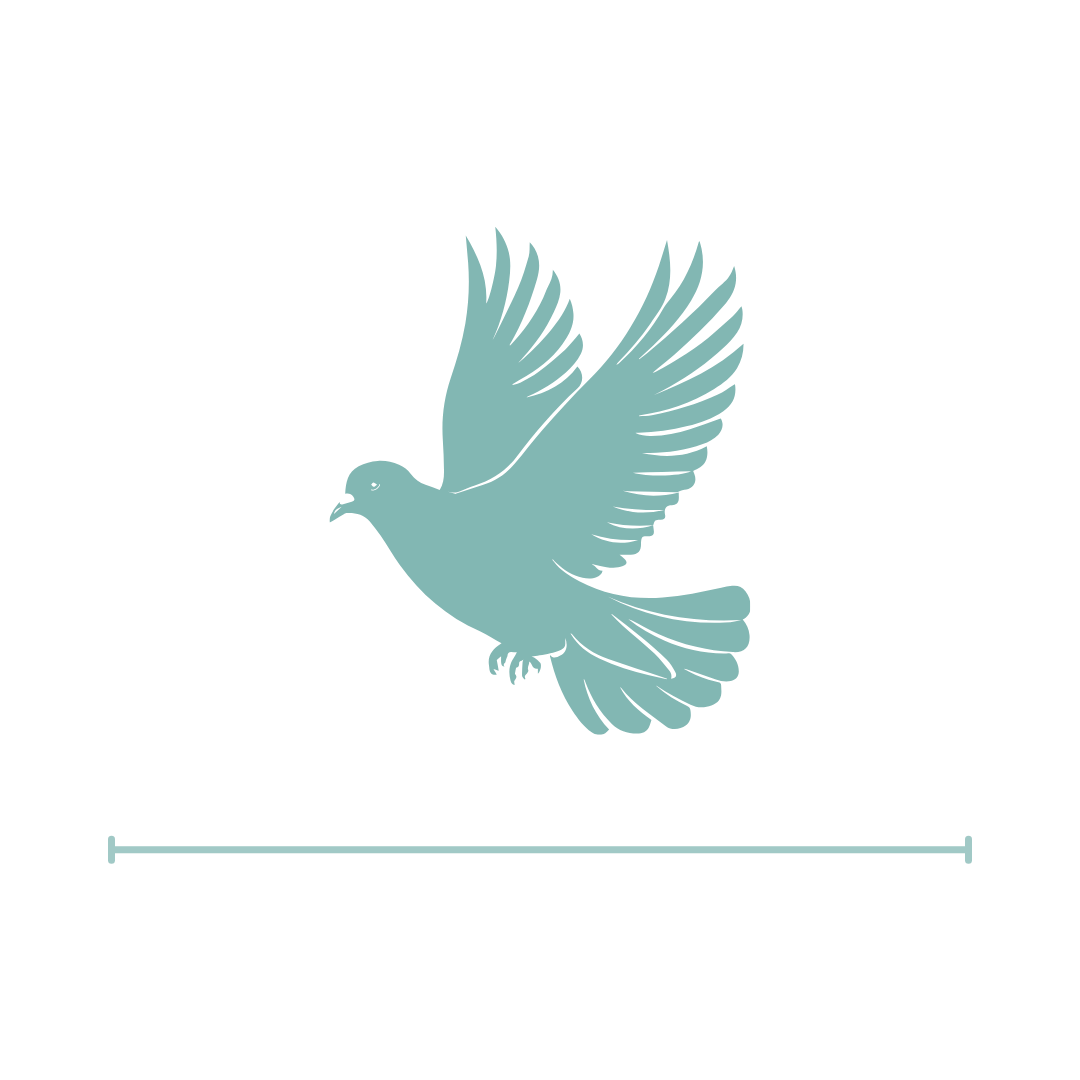 BirdWire