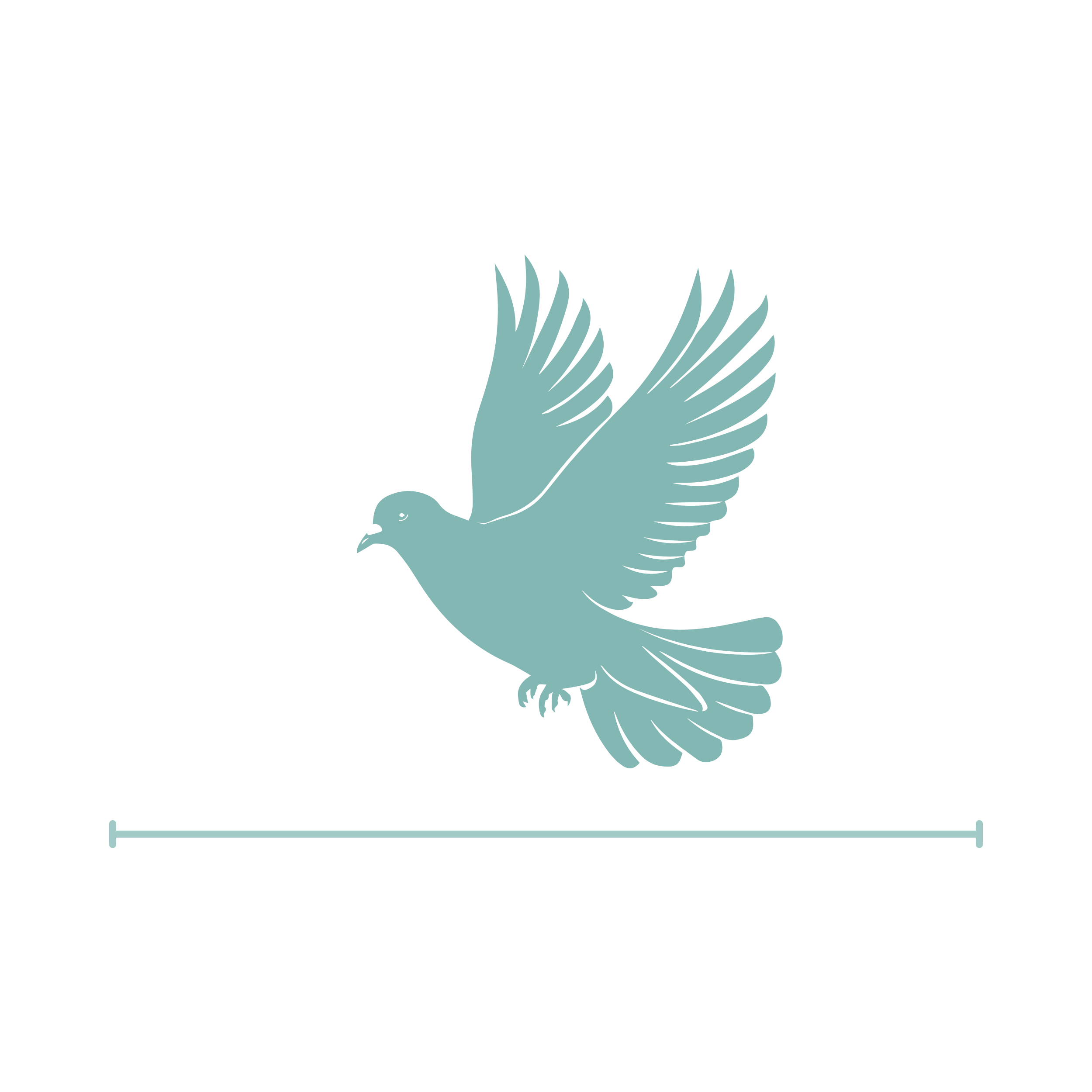 BirdWire