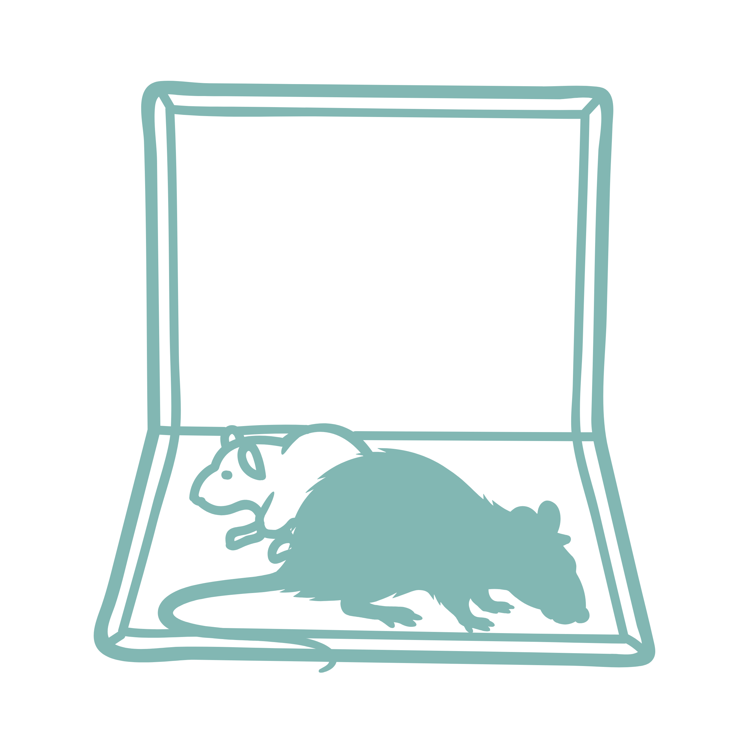 Rodent Stations & Traps