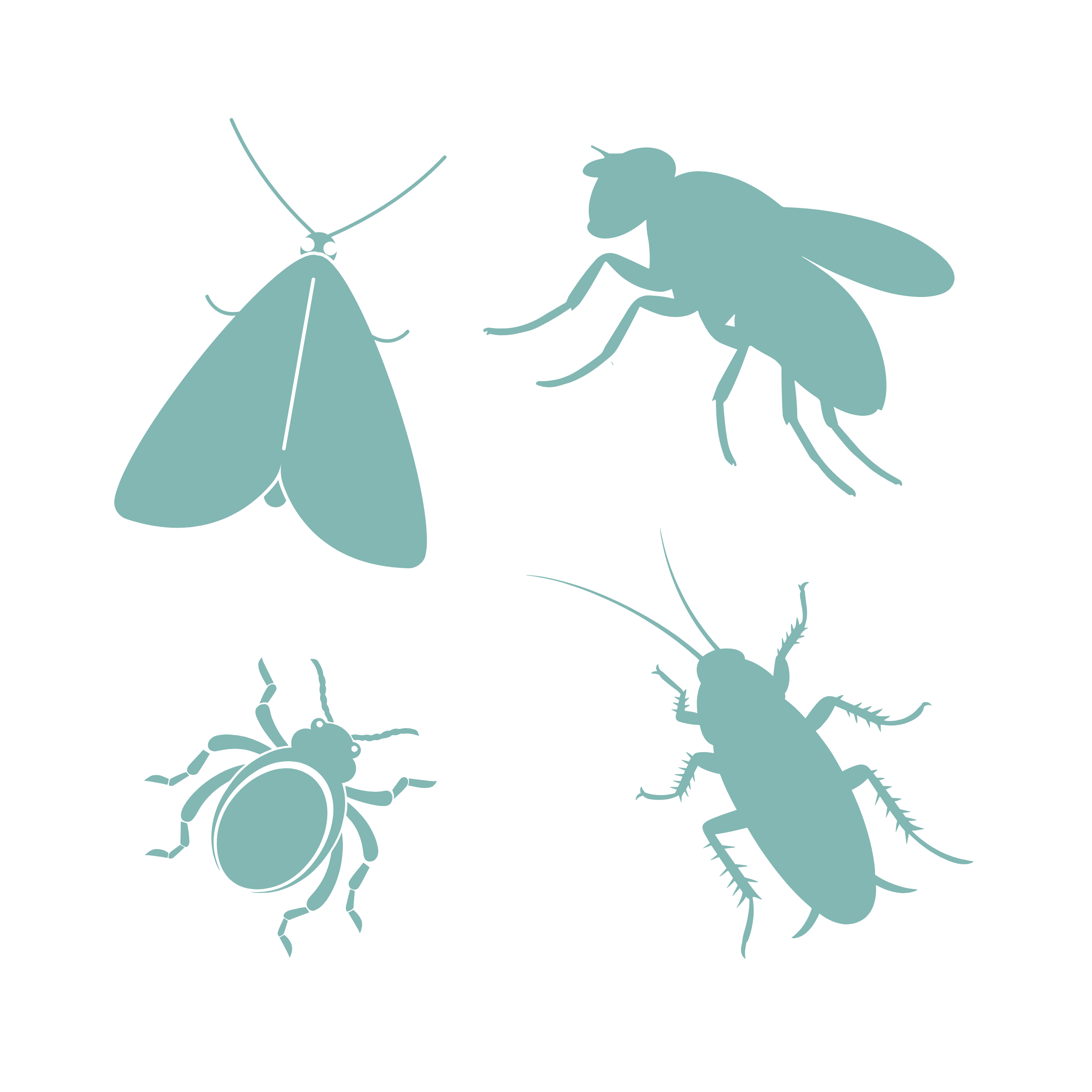 Commercial Insect Control