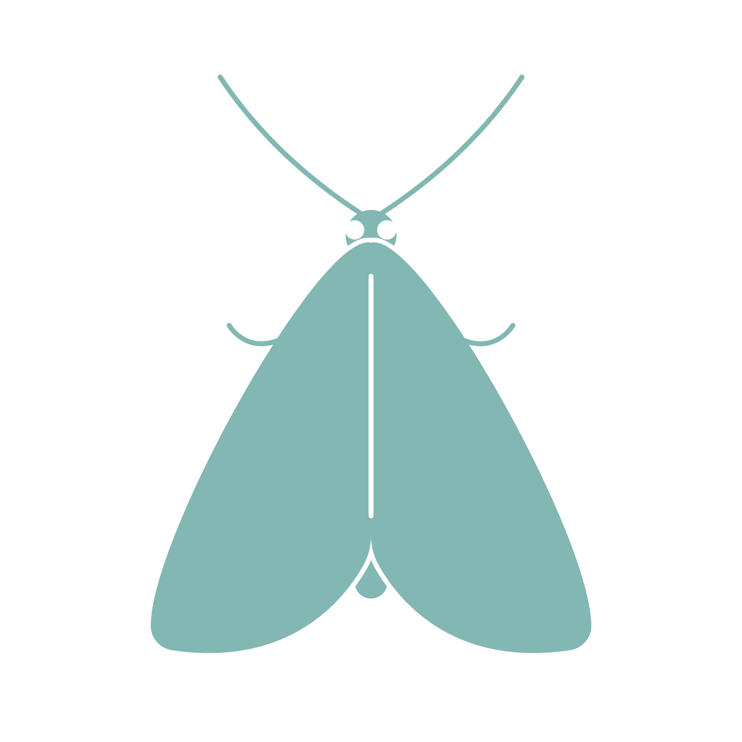 Pantry Moths