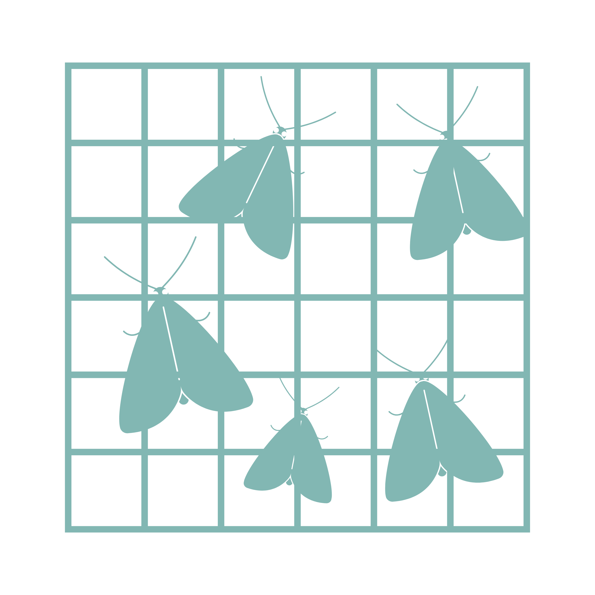 Moth Monitoring