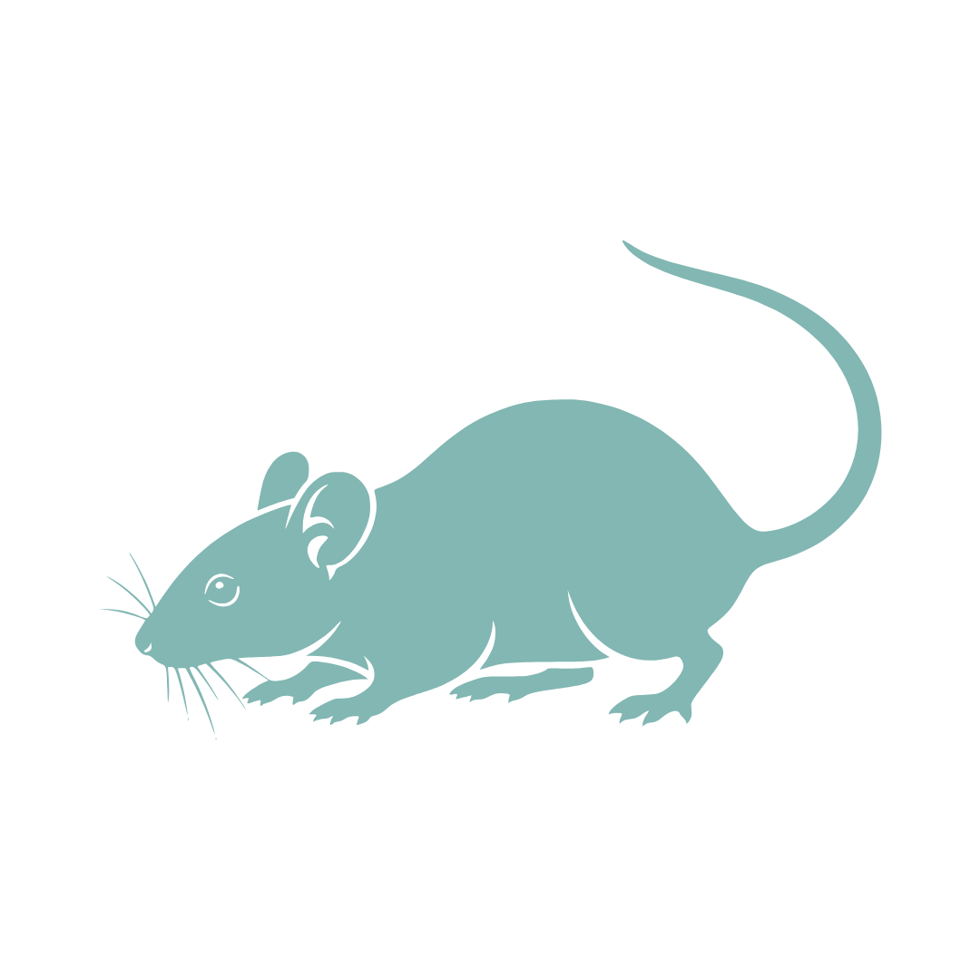 Rodent Control Catalogue