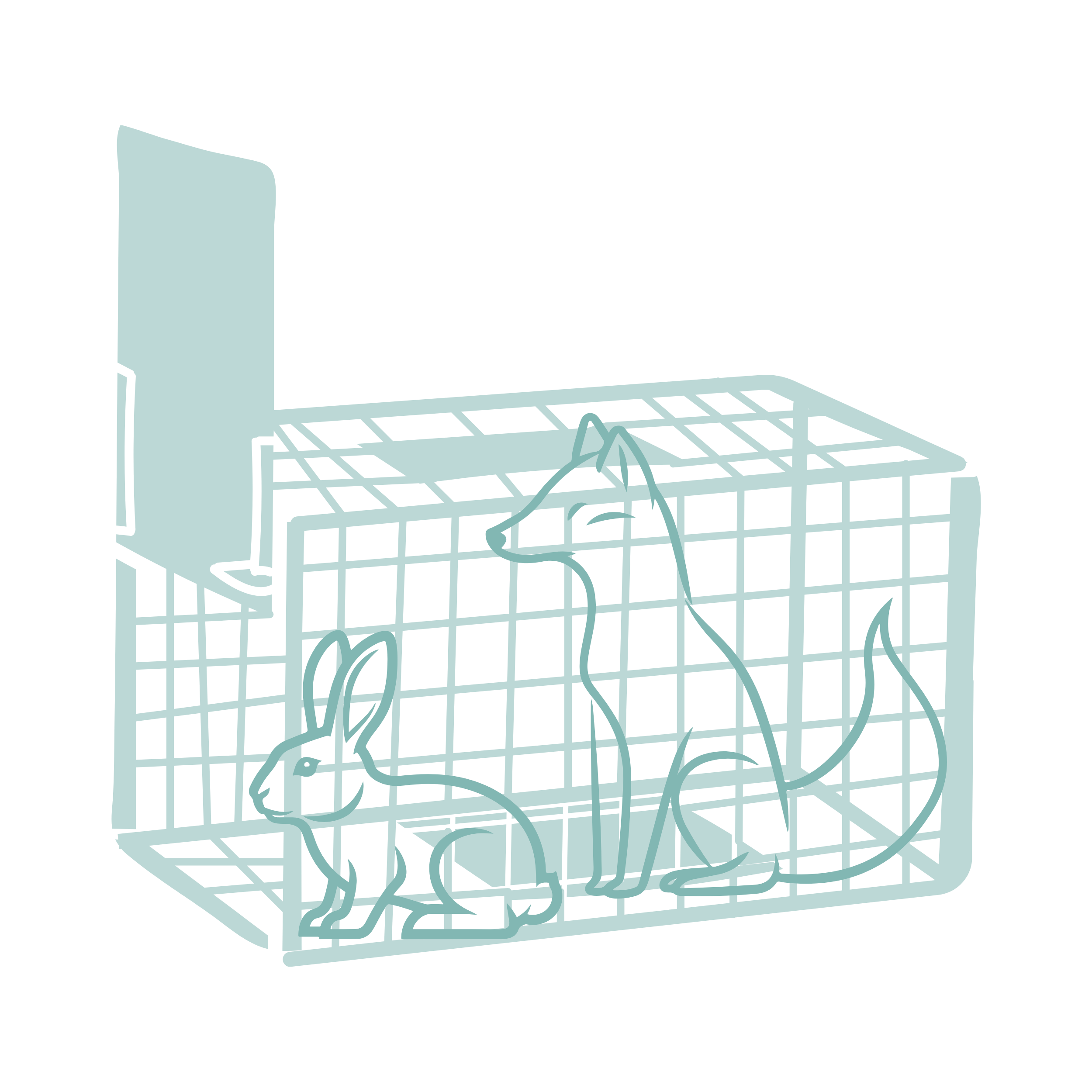 Vertebrate Pest Trapping