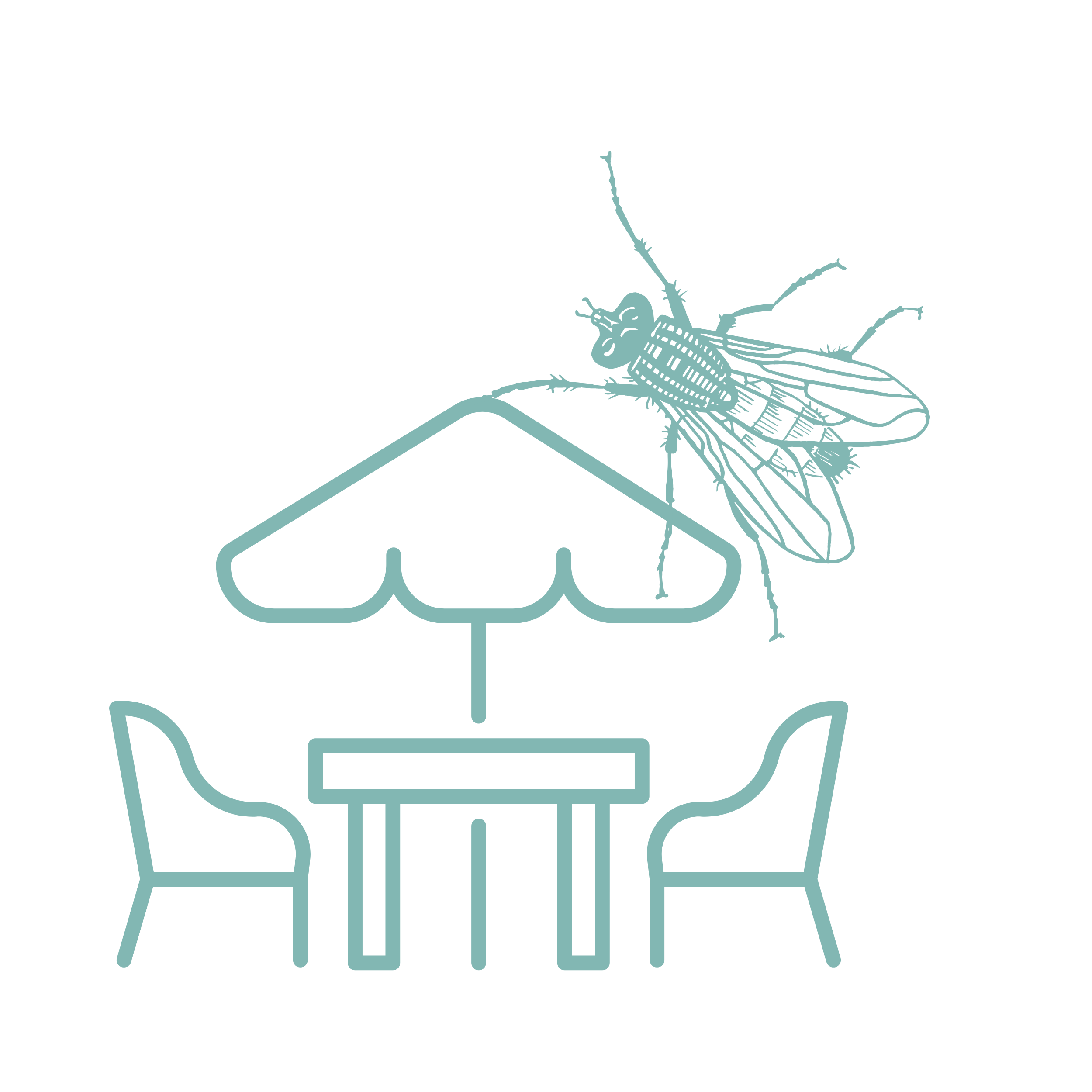 Outdoor & Residential Fly Traps