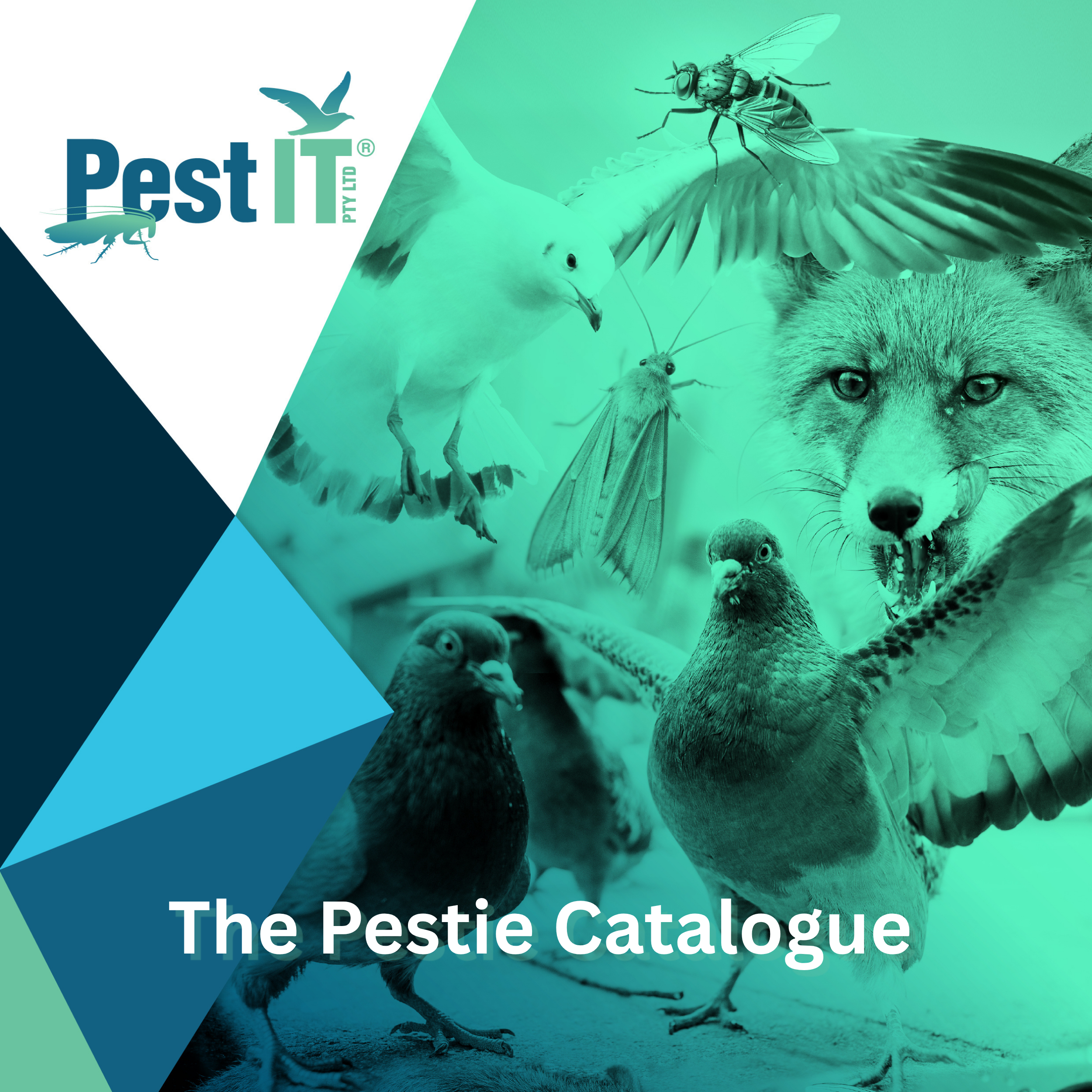 The Pestie Catalogue
