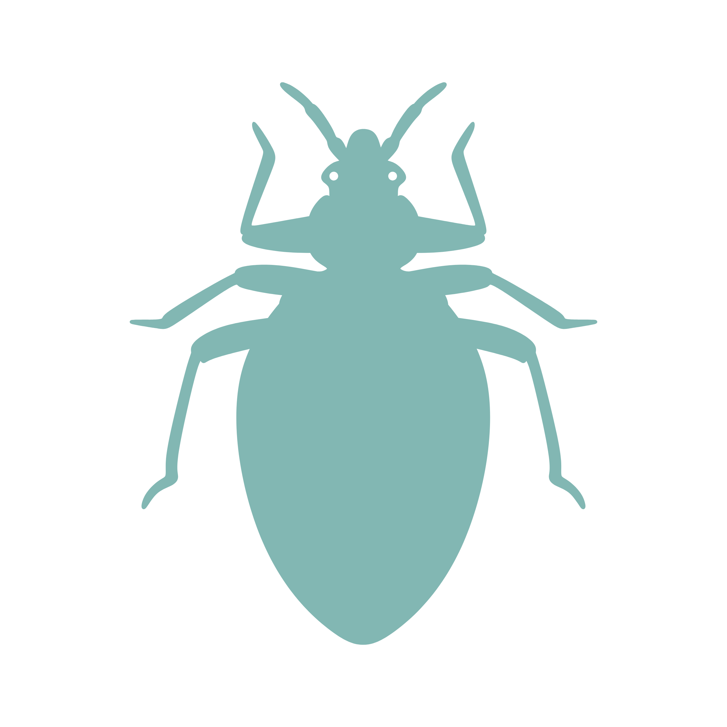 Bed Bugs