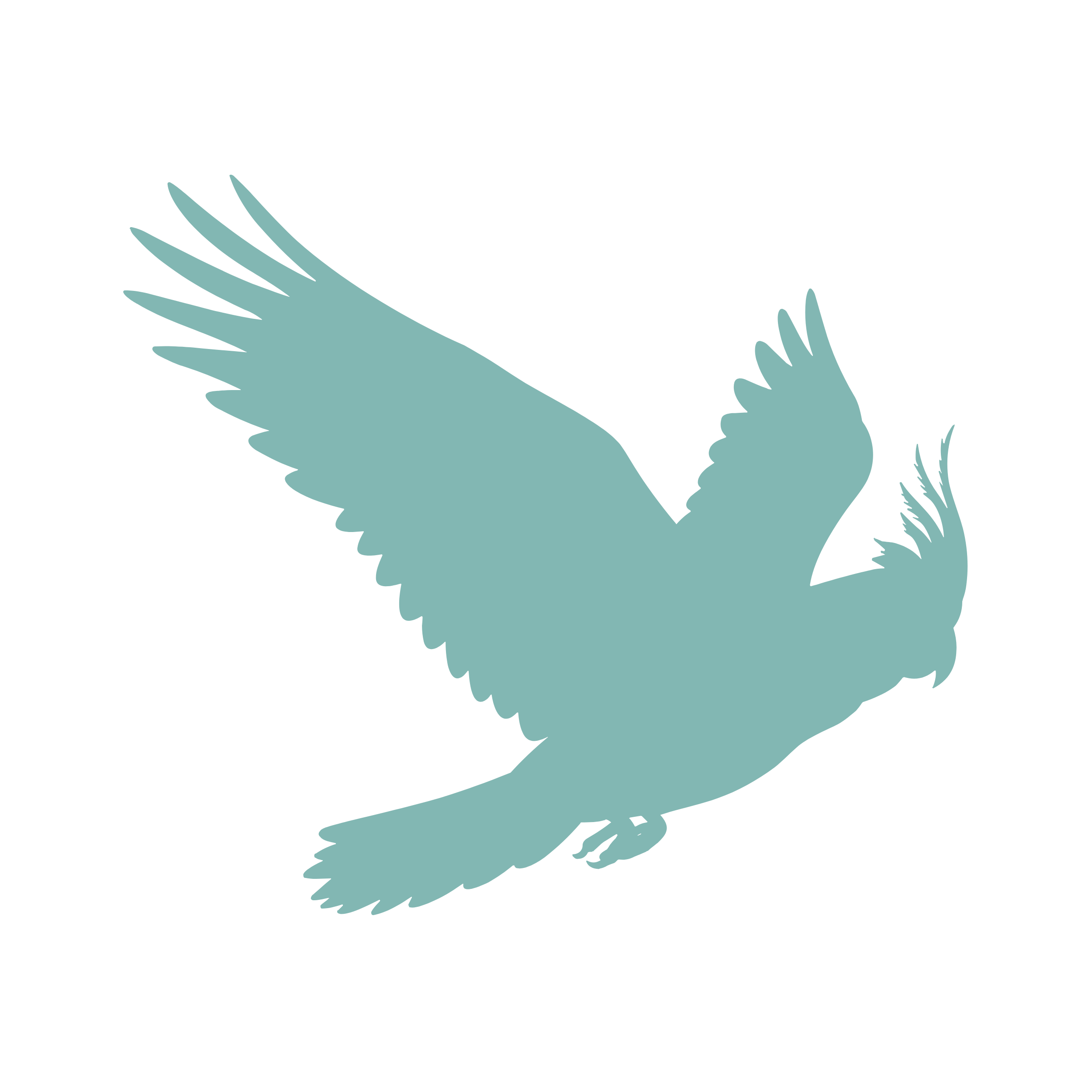 Cockatoos
